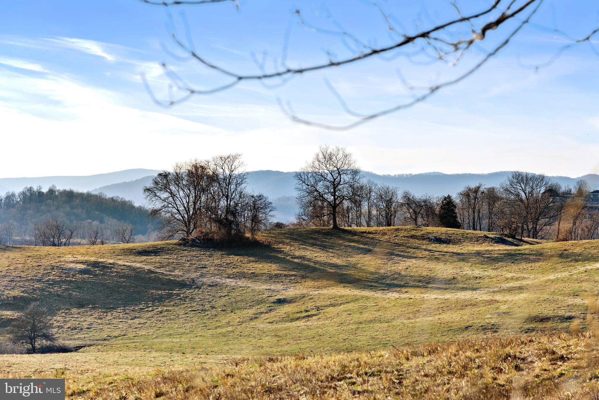 FLINT HILL - Residential