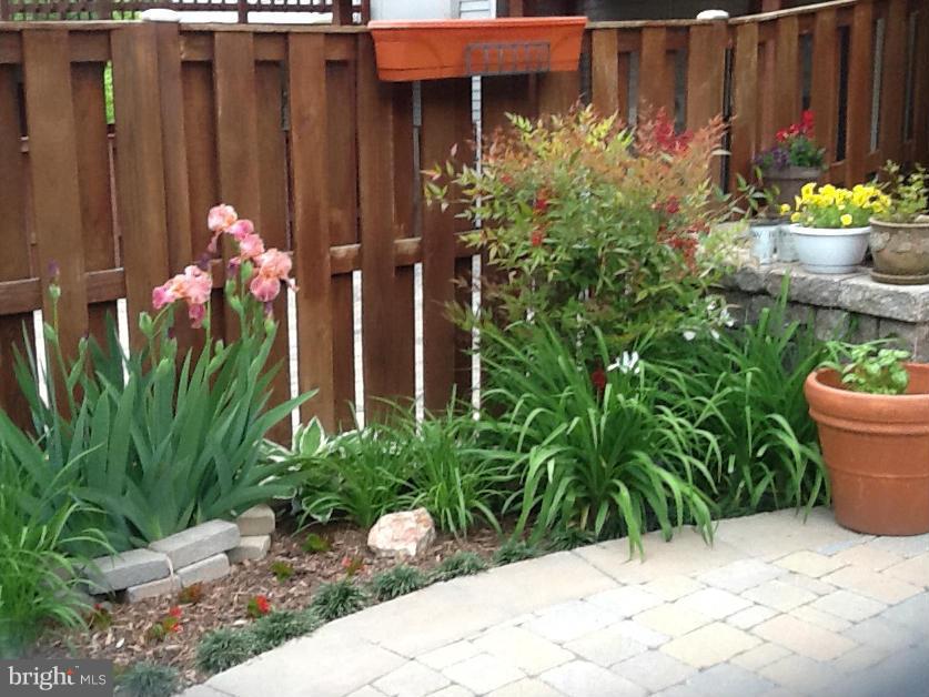 DAVENTRY PARK MILTON - Residential