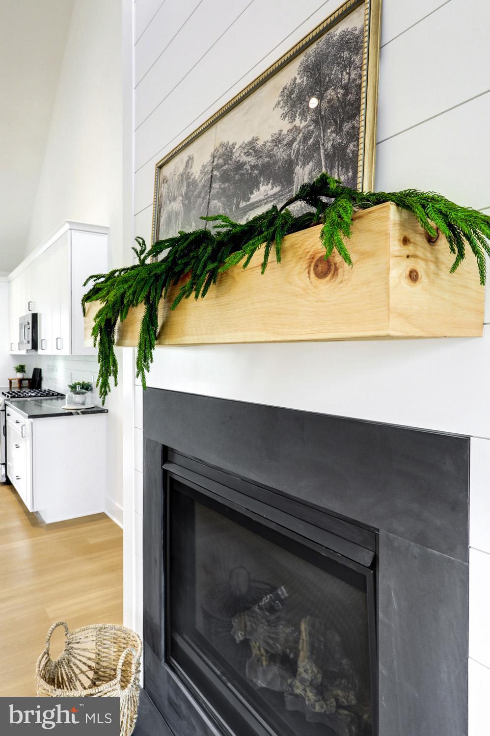 PARKSIDE AT LAMPETER - Residential