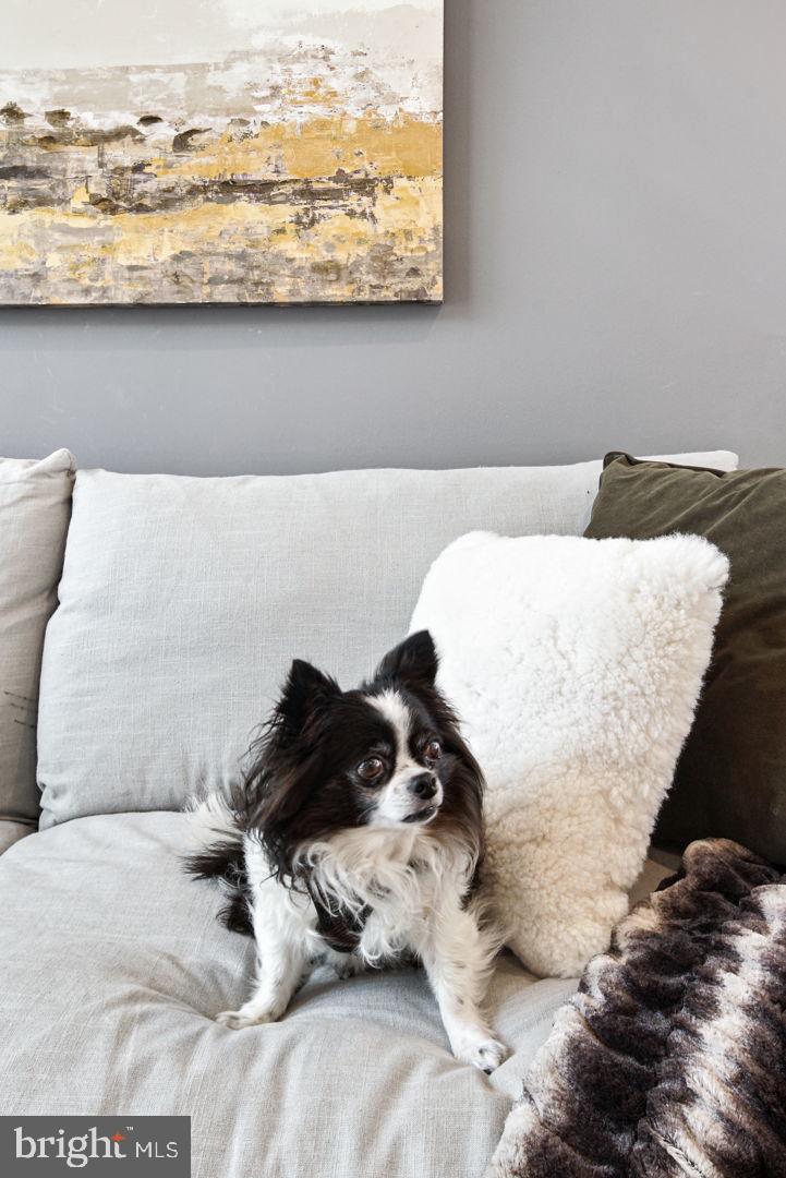 NORTHERN LIBERTIES - Residential