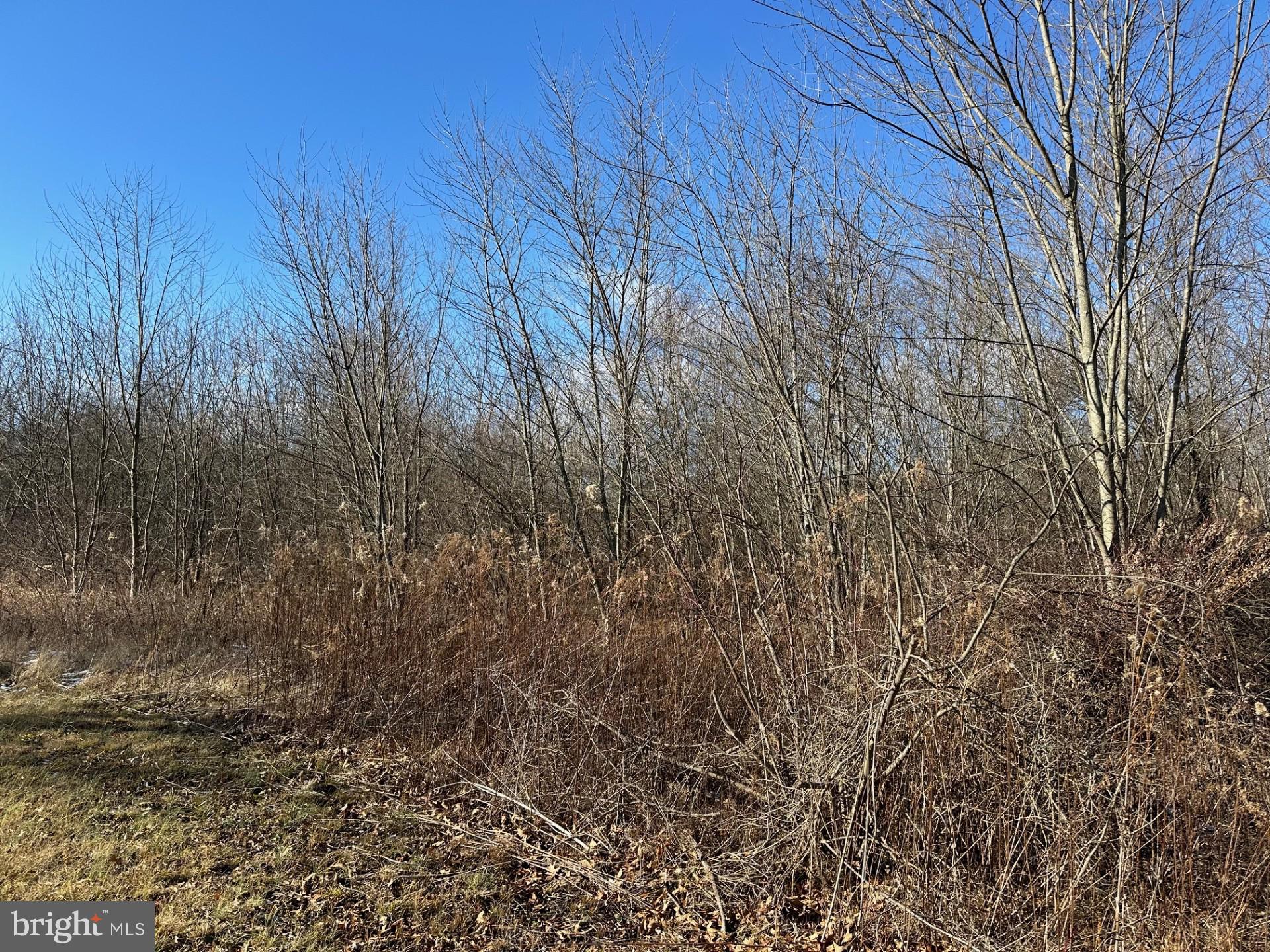 124 1ST STREET 2 LOTS