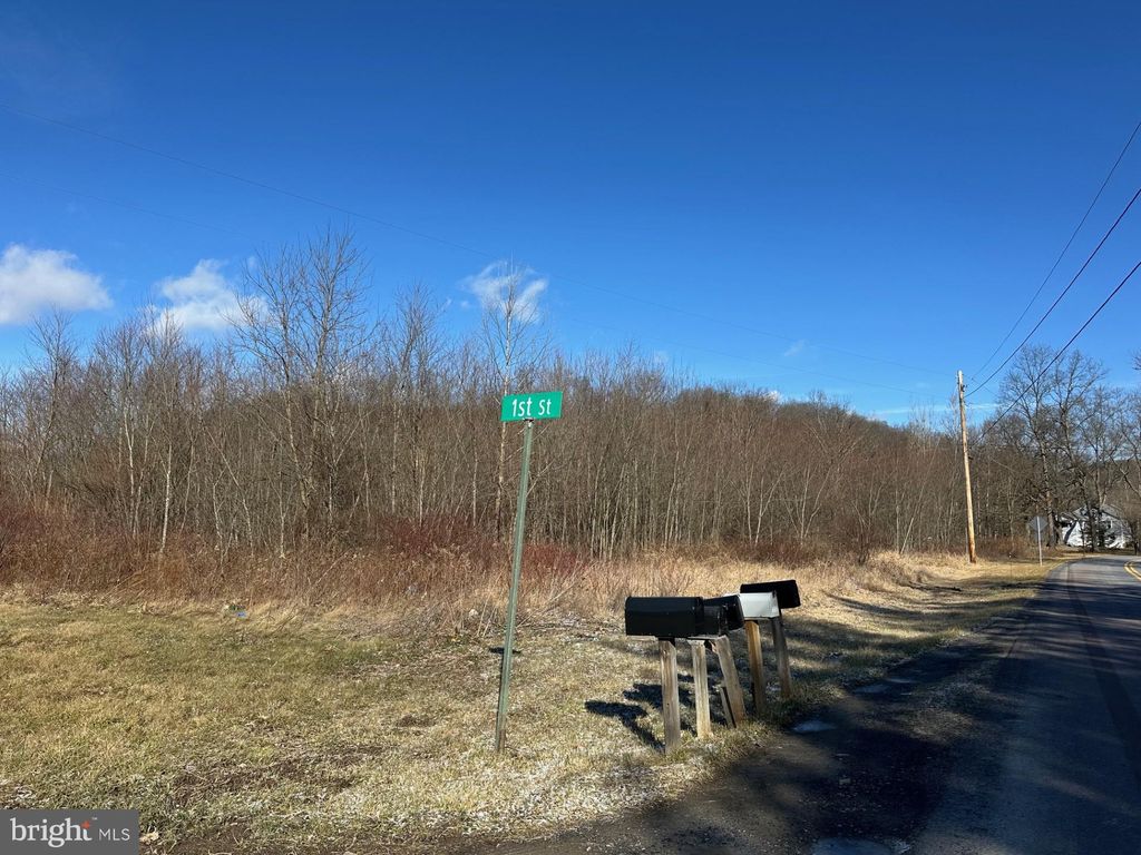 Photo of 124 1st Street #2 LOTS, NEW PARIS, PA 15554 (MLS # PABD2002972)