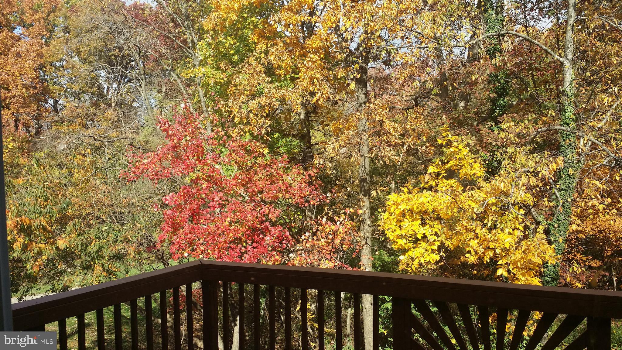 KINGS CONTRIVANCE - Residential Lease