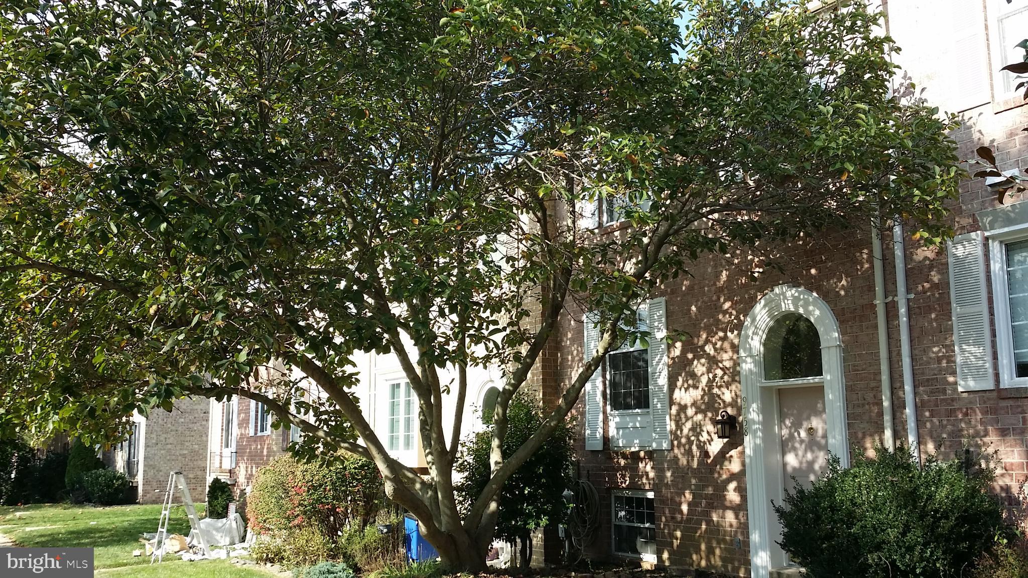 KINGS CONTRIVANCE - Residential Lease