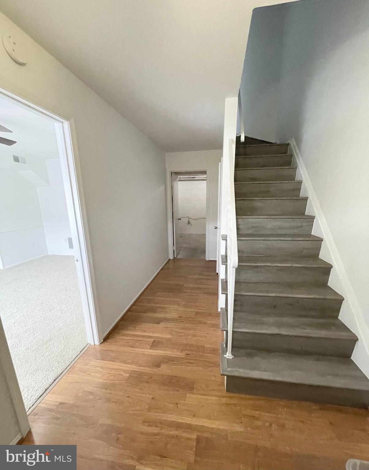 CARDINAL SQUARE - Residential Lease