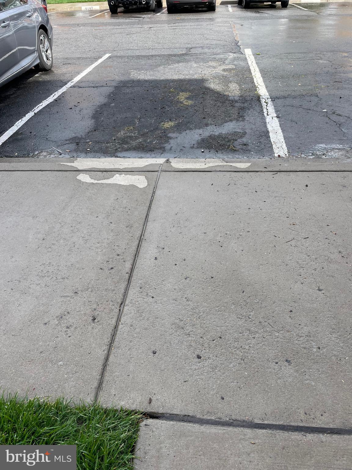 CARDINAL SQUARE - Residential Lease