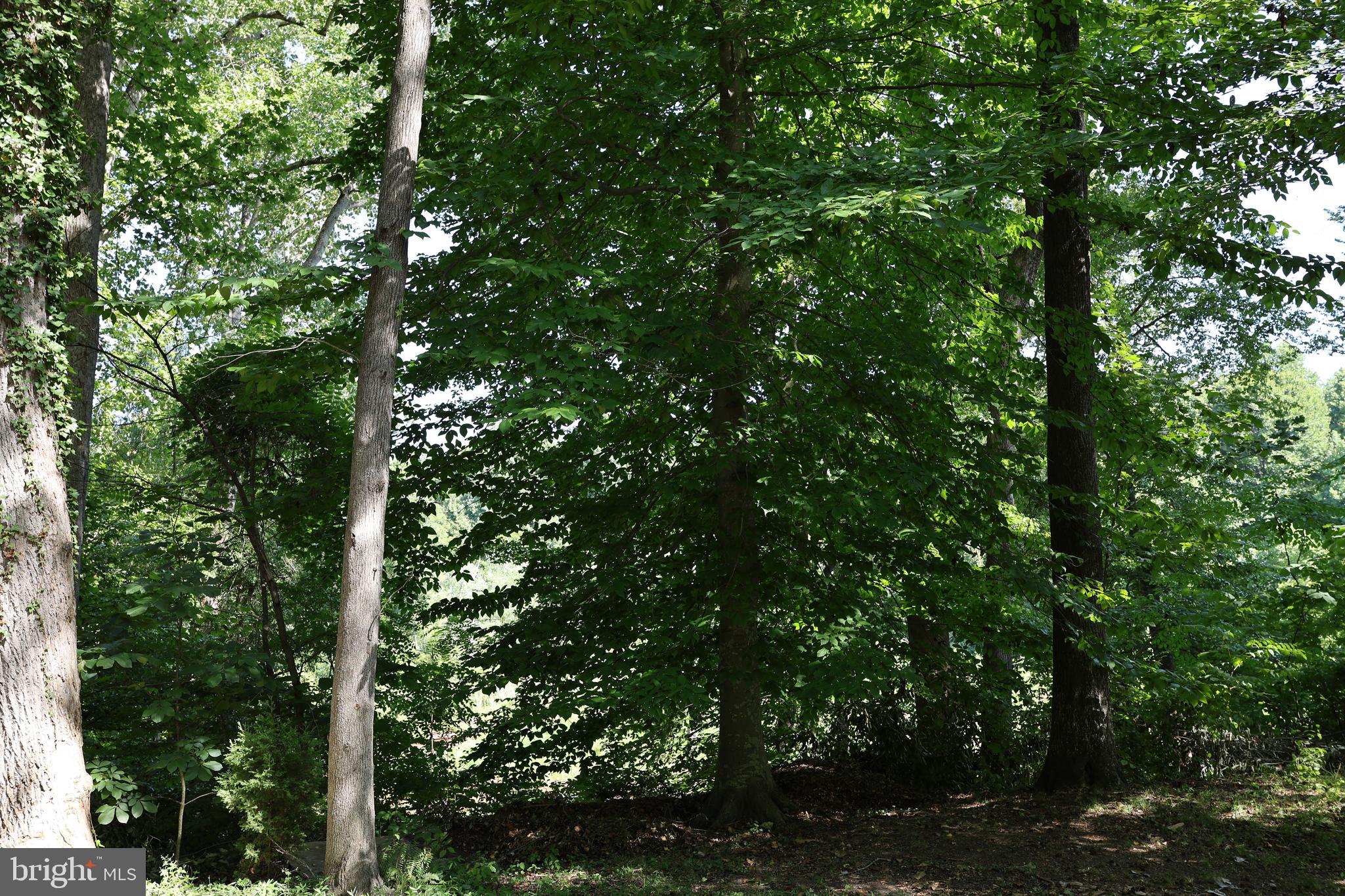 JAPAZAWS - Residential