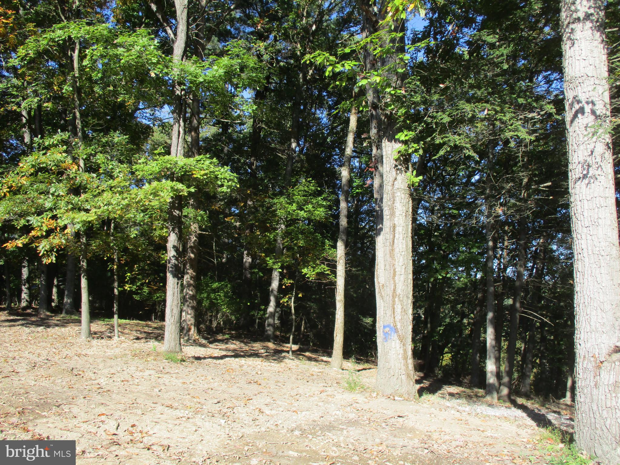 NORTHWOOD RANCH ESTATES - Residential