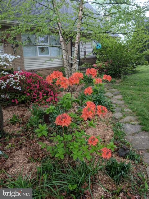 AMBLER - Residential