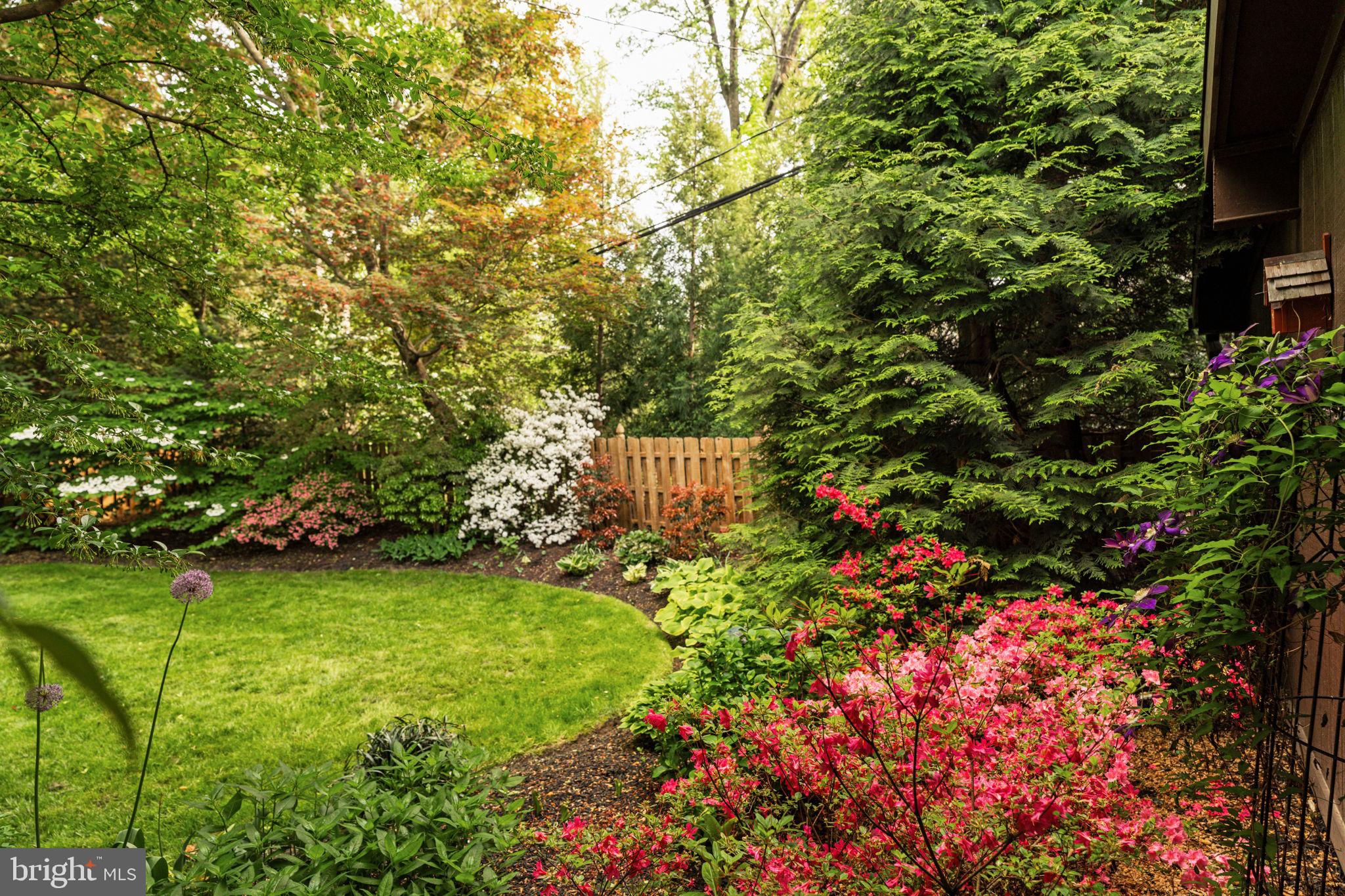 BAEDERWOOD - Residential