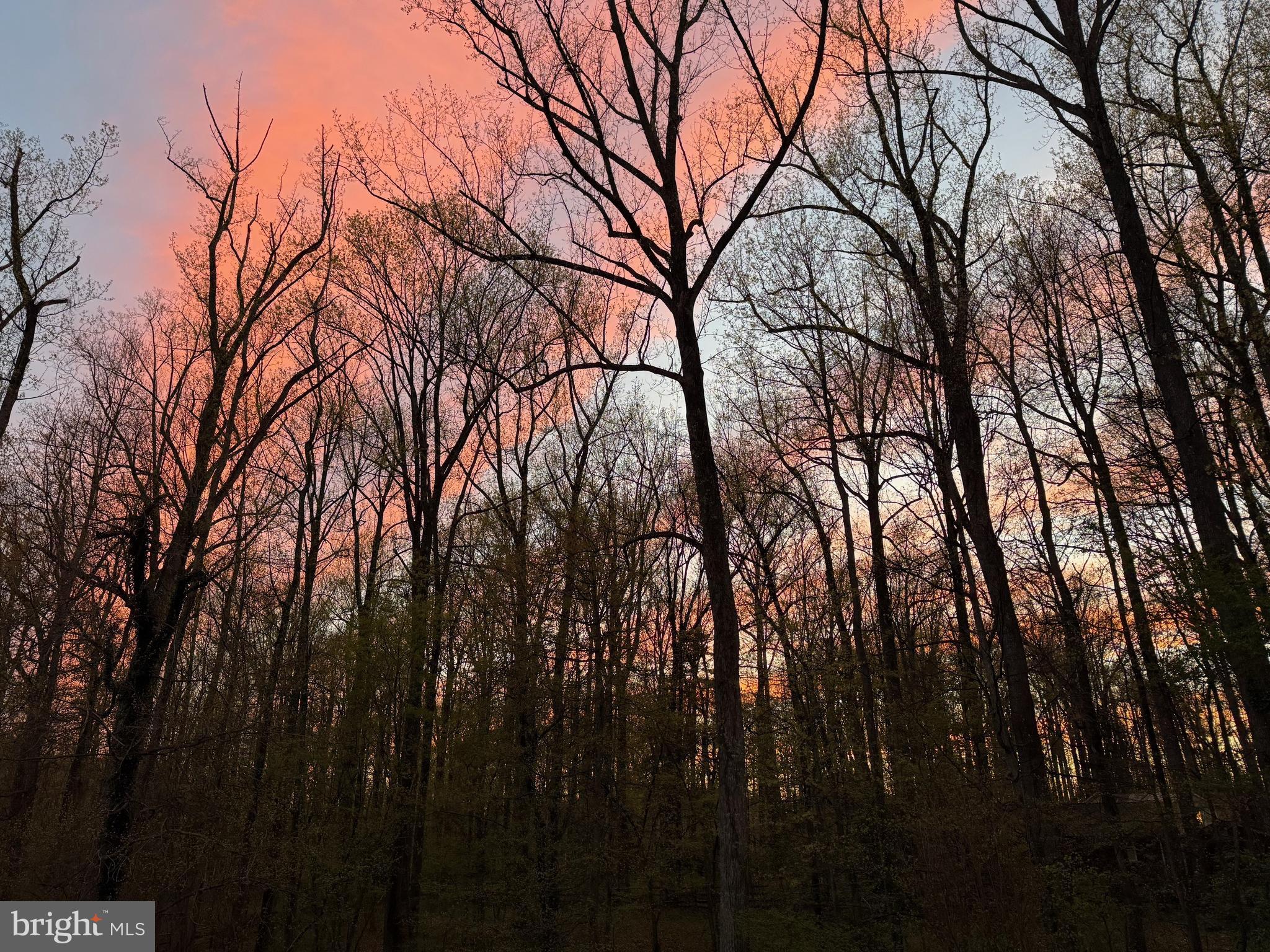 CRYSTAL SPRINGS - Residential