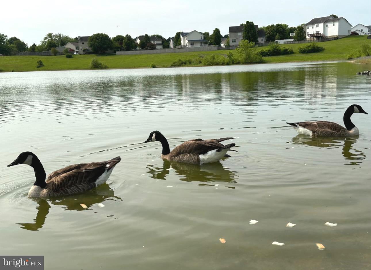 MEADOW LAKE - Residential Lease