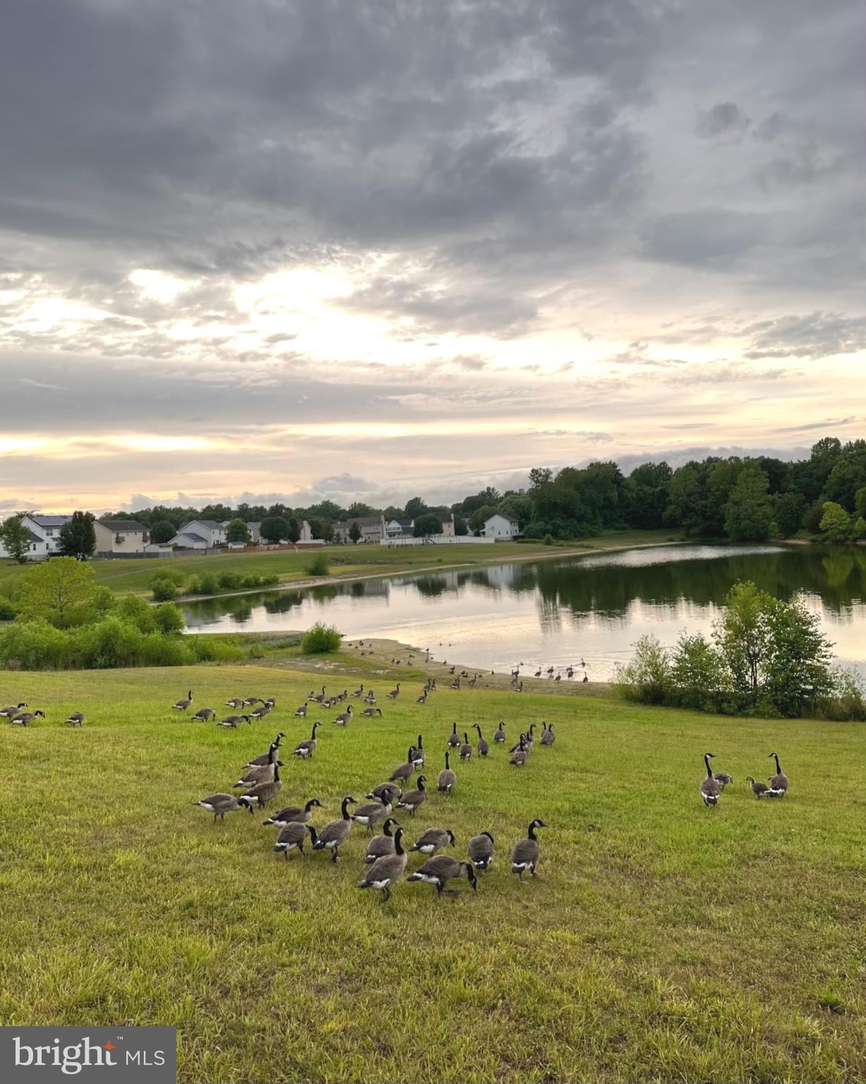 MEADOW LAKE - Residential Lease