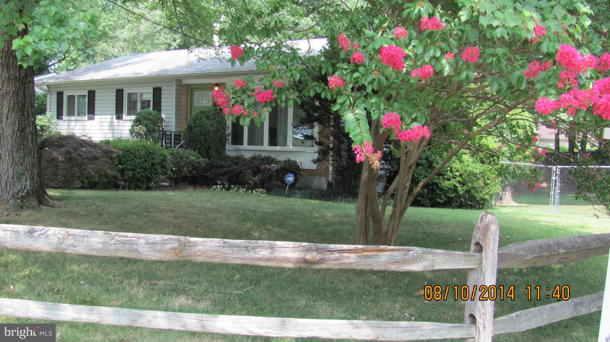 ANNANDALE TERRACE - Residential Lease