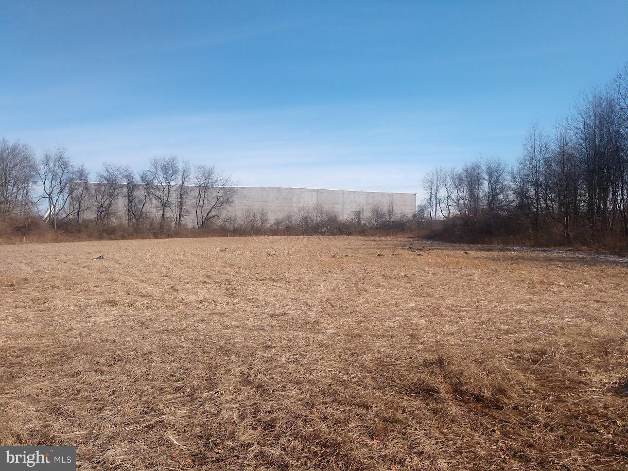 NONE AVAILABLE - Farm