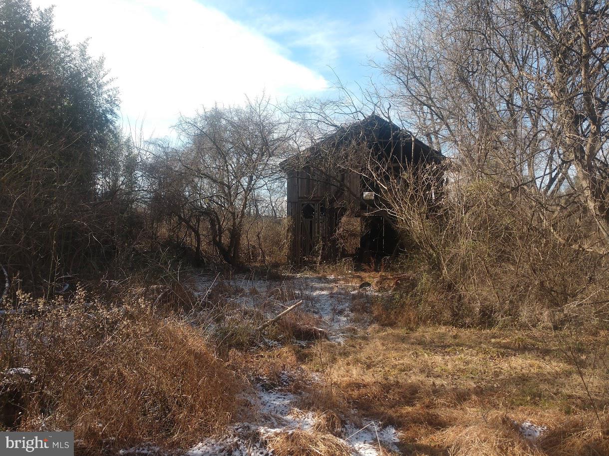 NONE AVAILABLE - Farm