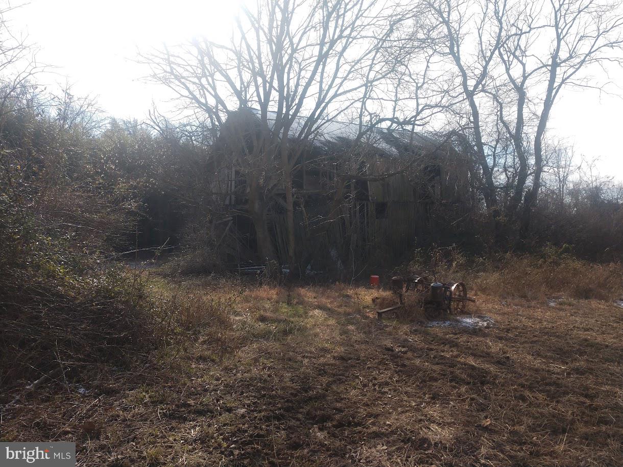 NONE AVAILABLE - Farm