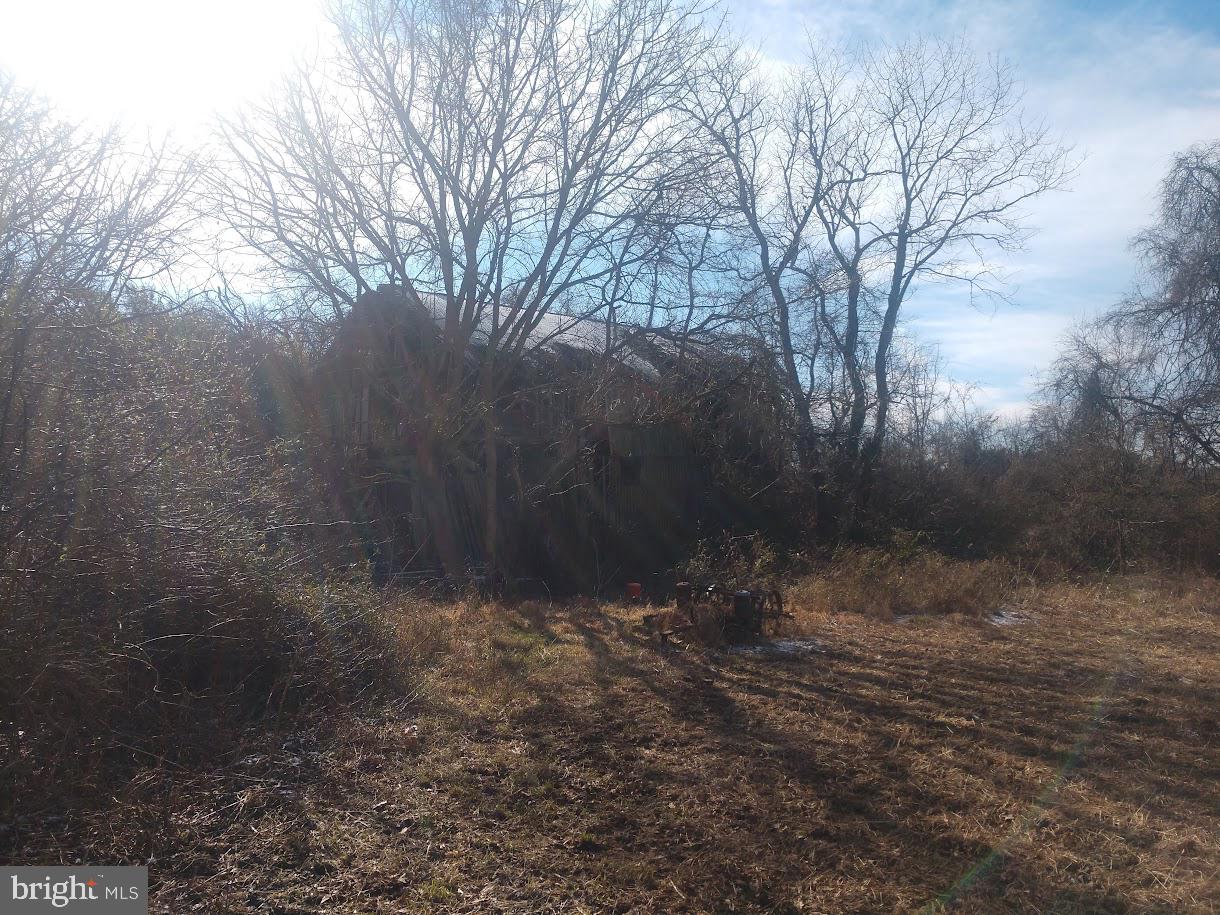 NONE AVAILABLE - Farm