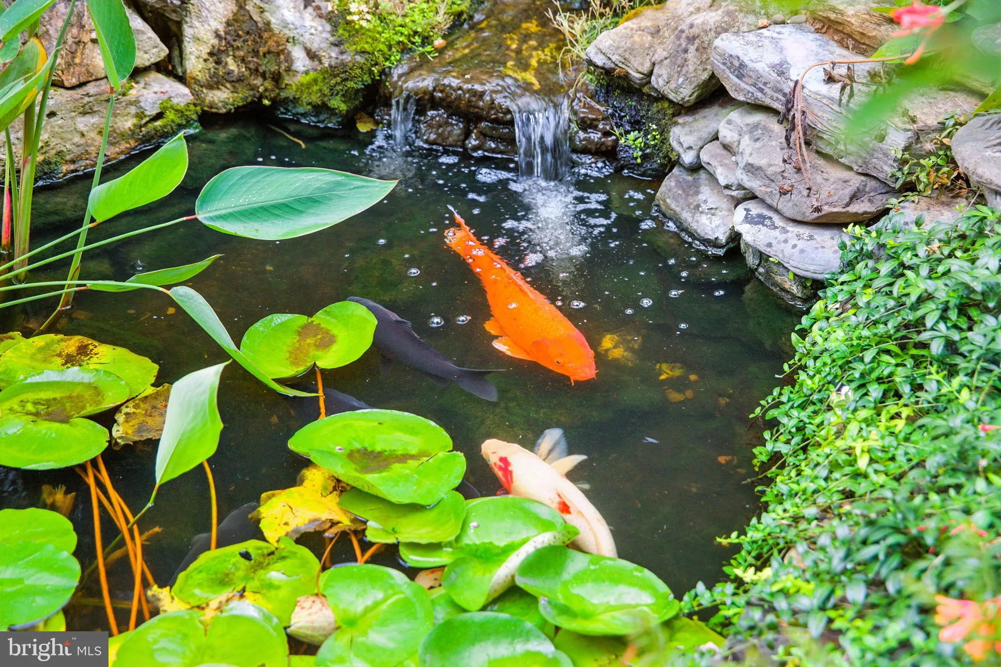 Winchester, Virginia 22603, United States, 4 Bedrooms Bedrooms, ,4 BathroomsBathrooms,Residential,Coming Soon,193346