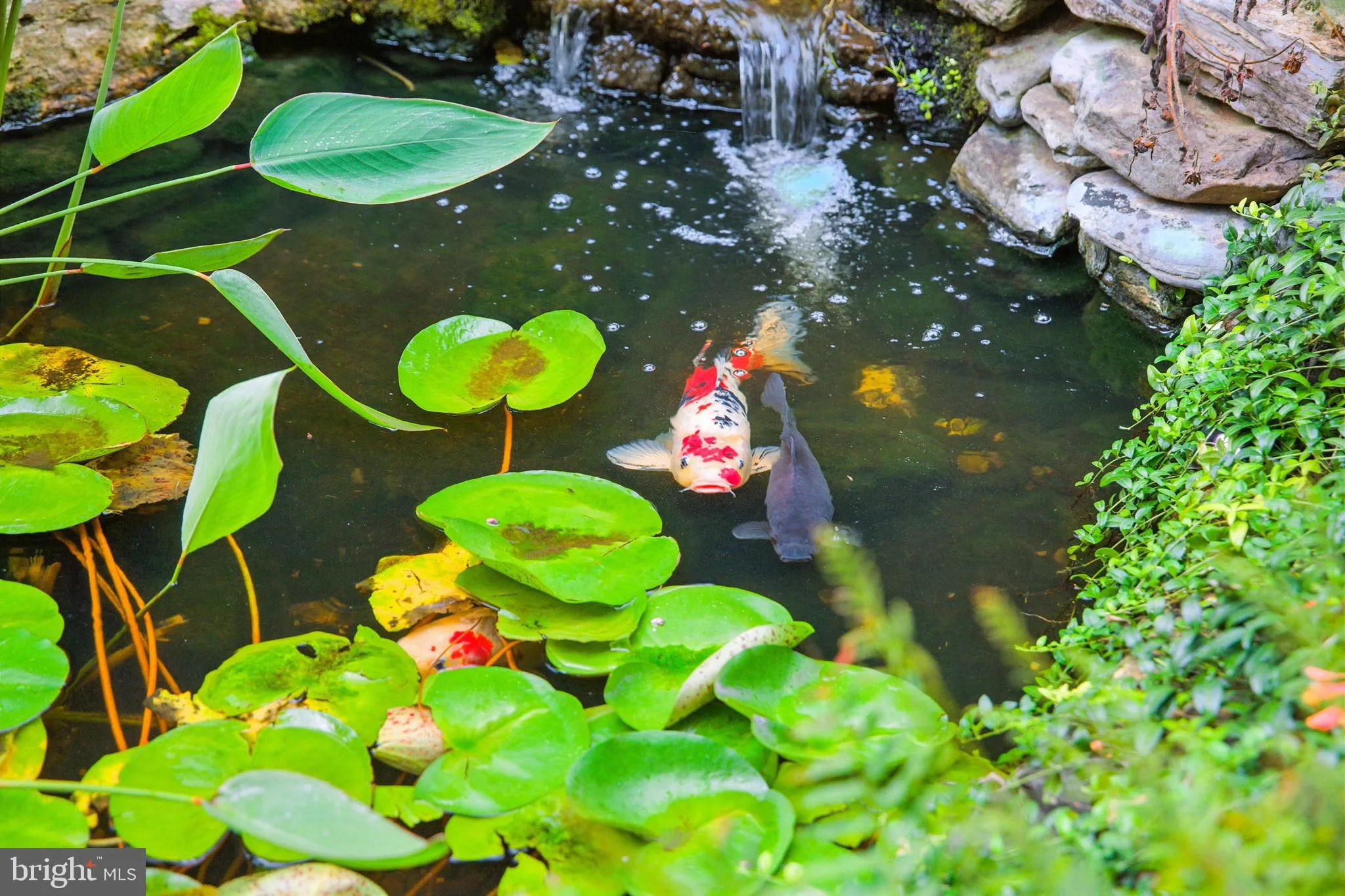 Winchester, Virginia 22603, United States, 4 Bedrooms Bedrooms, ,4 BathroomsBathrooms,Residential,Coming Soon,193346