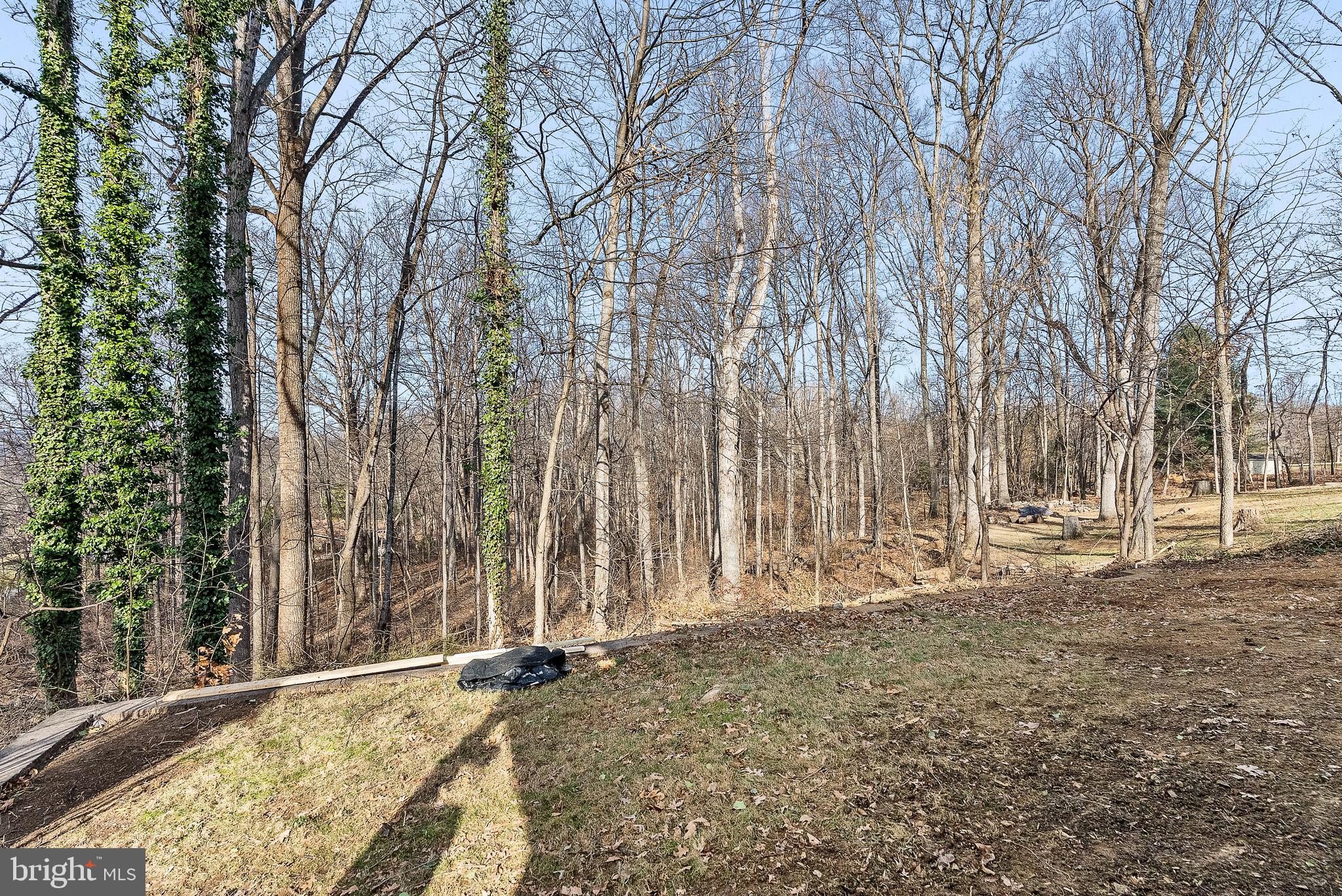 JACKSON WOODS ESTATES - Residential Lease