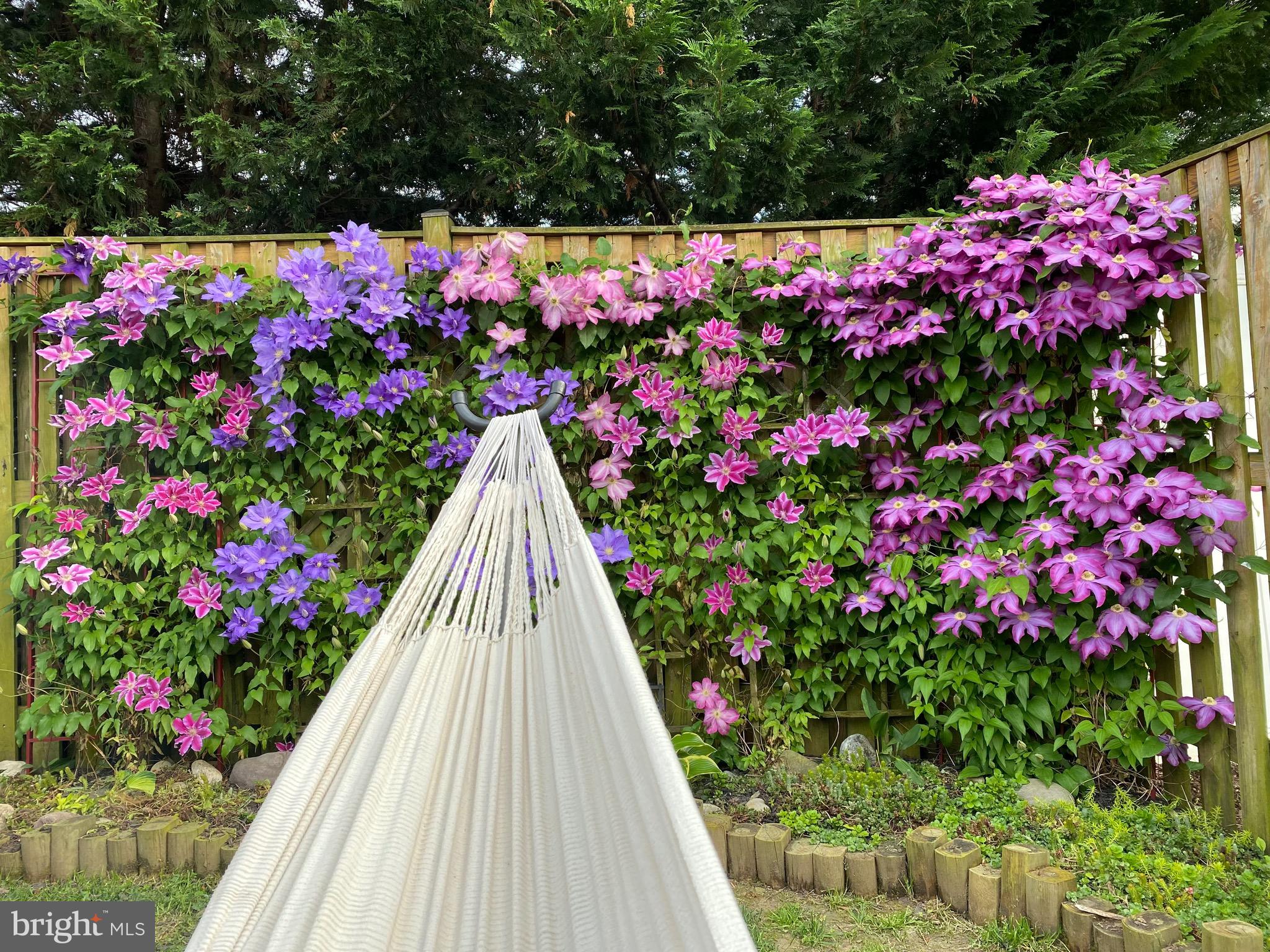 MONMOUTH MEADOWS - Residential