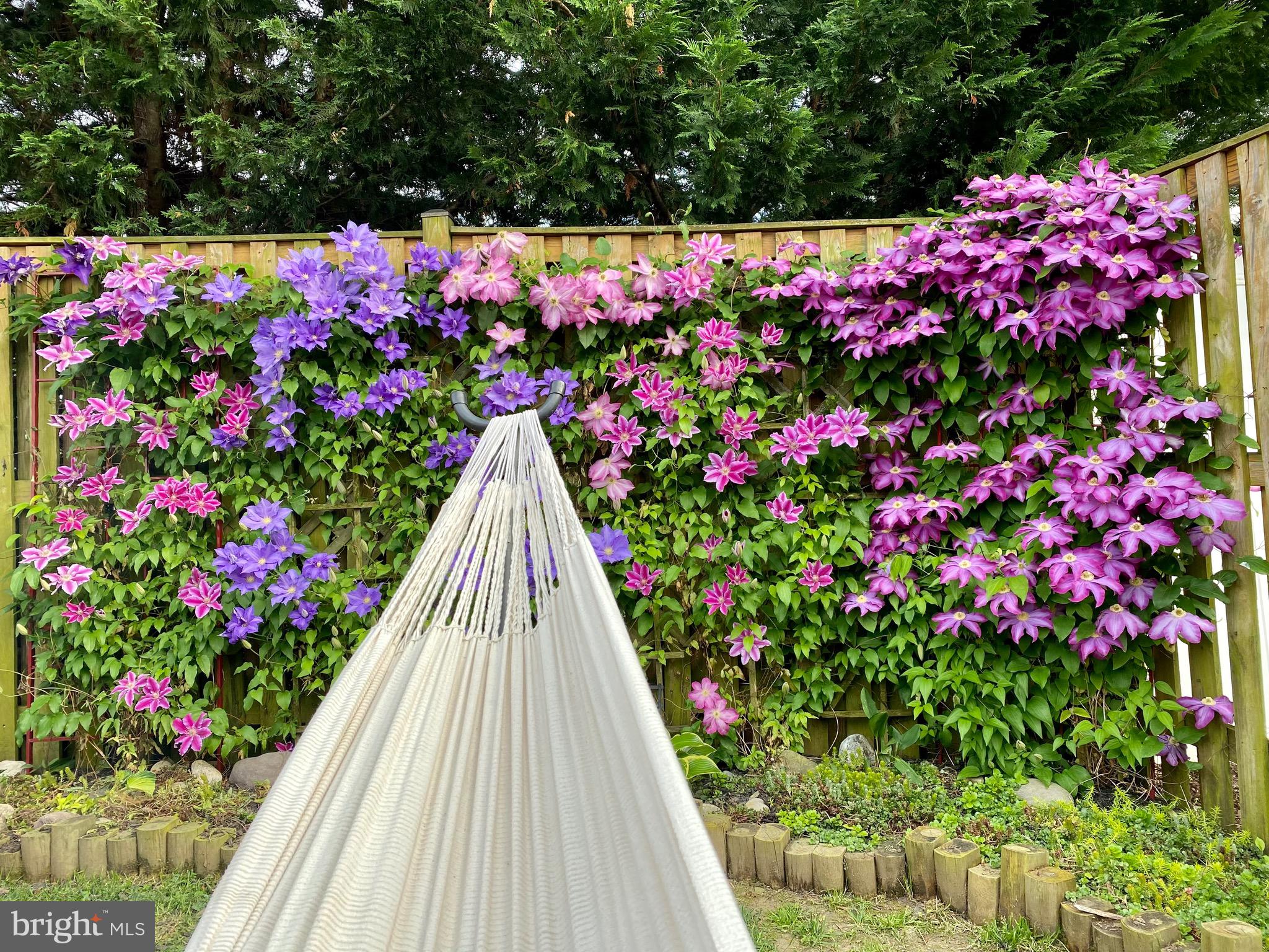 MONMOUTH MEADOWS - Residential