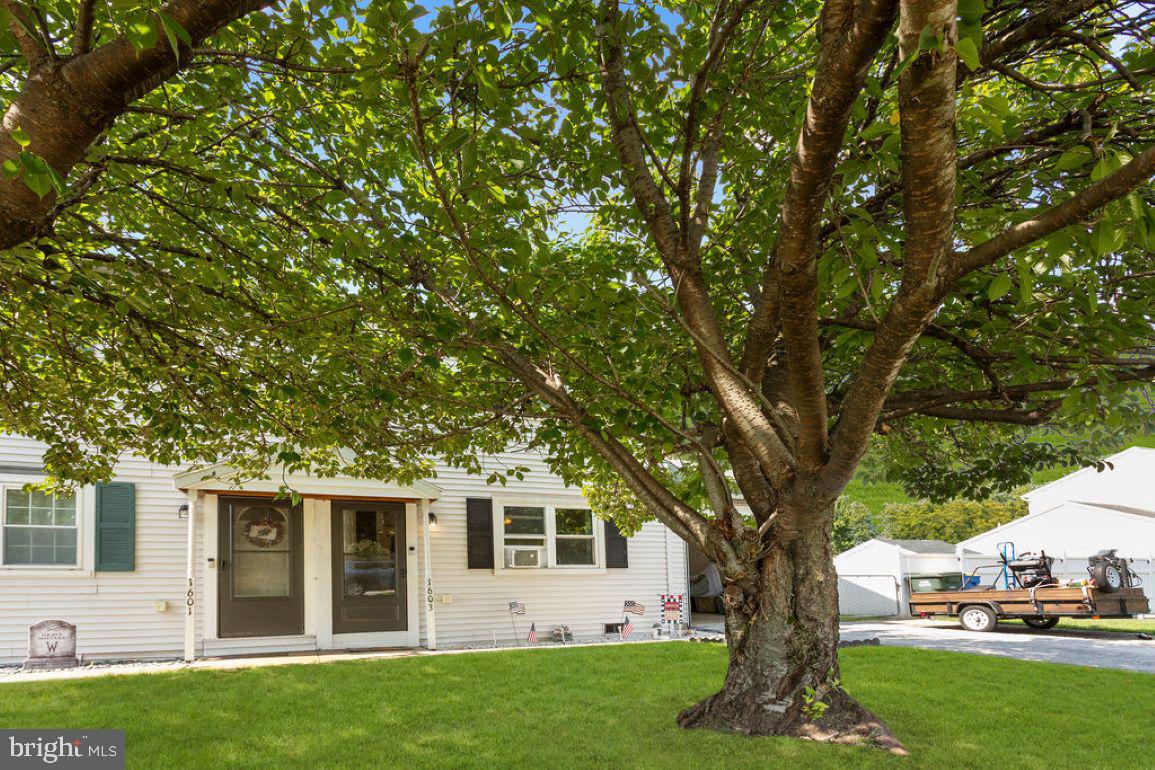 1603 BLUE JAY DRIVE