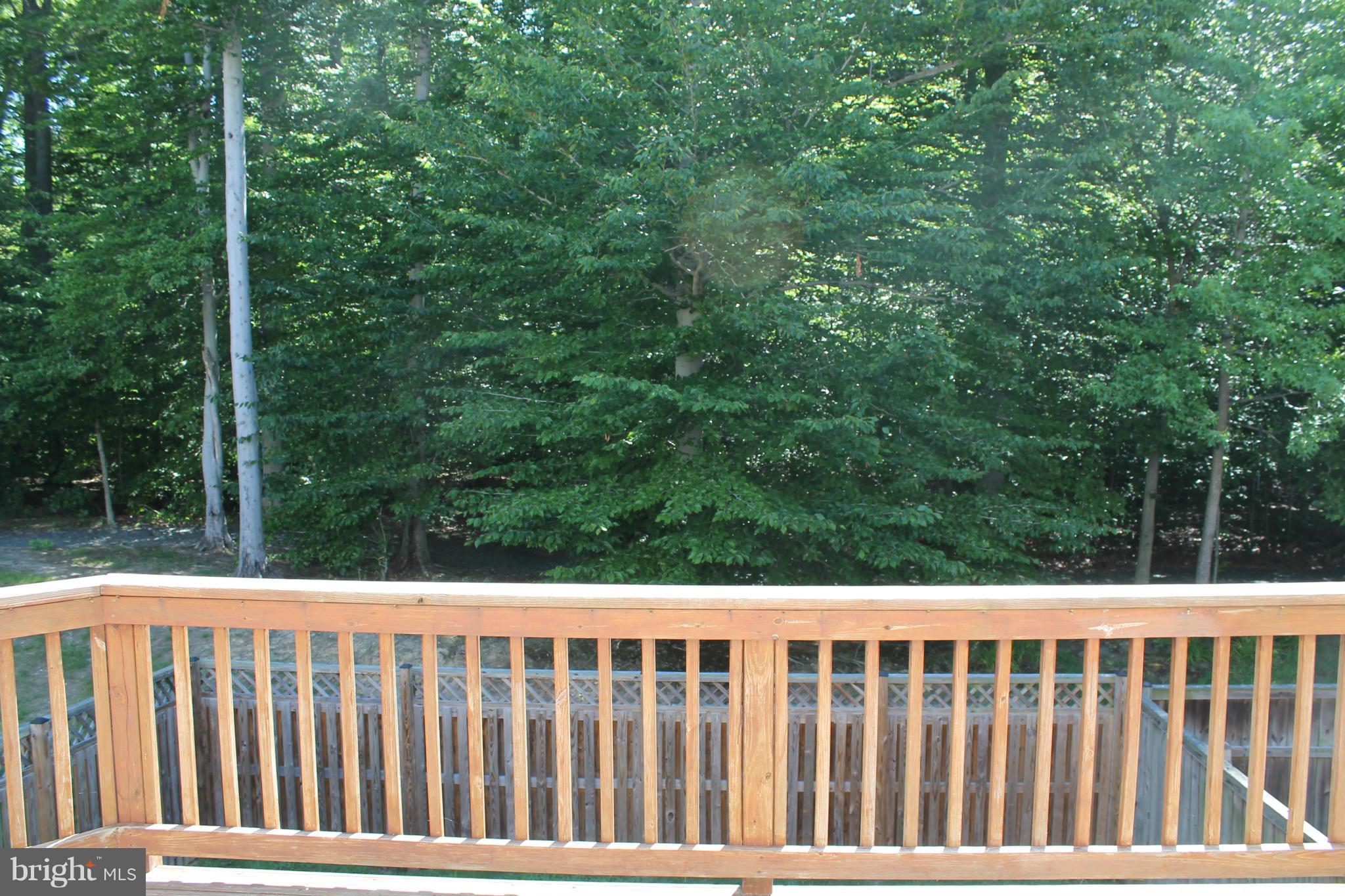 HOLLY WOODS - Residential