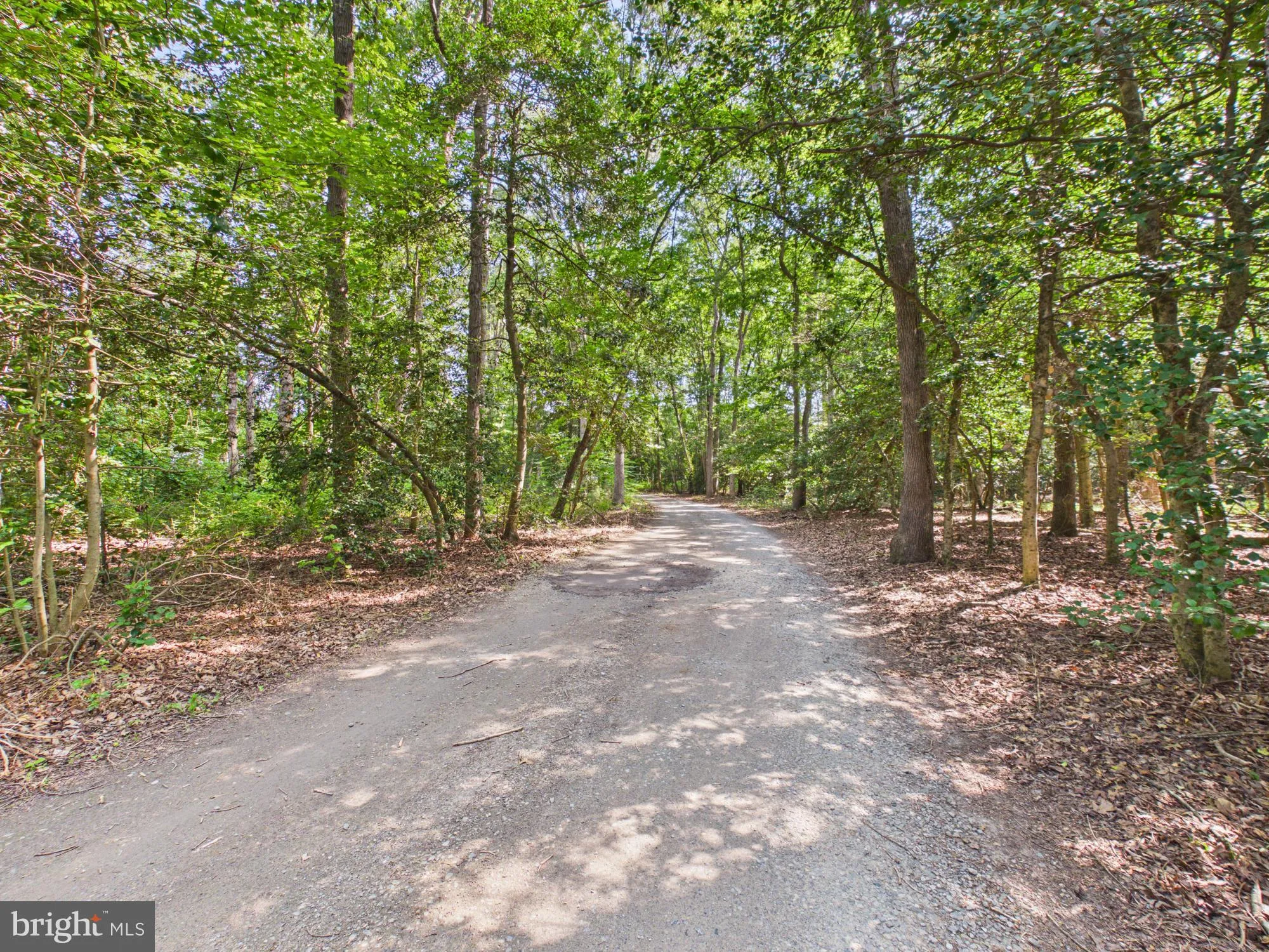 Additional image 107 of 2840 Andrewville Road, Greenwood, DE 19950