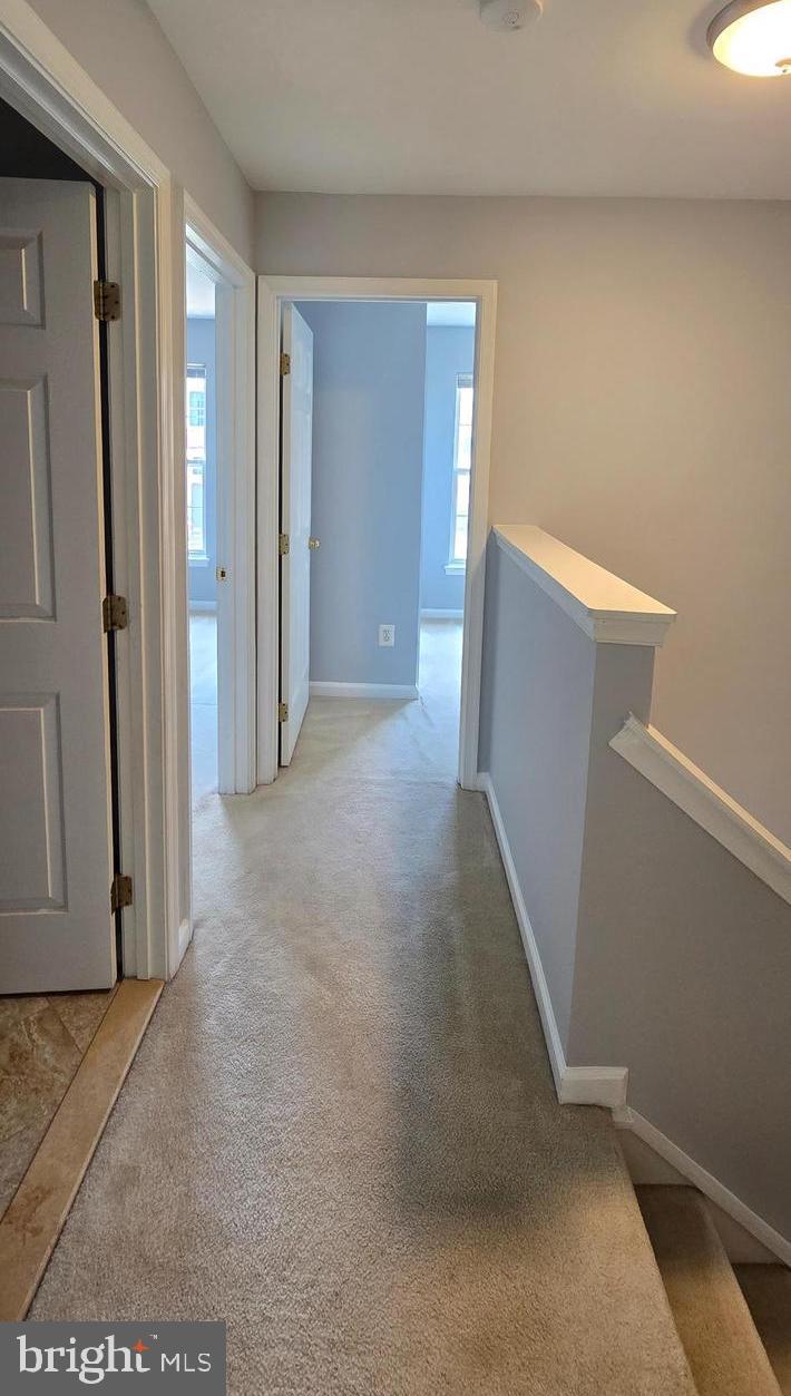 LOWES ISLAND - Residential Lease