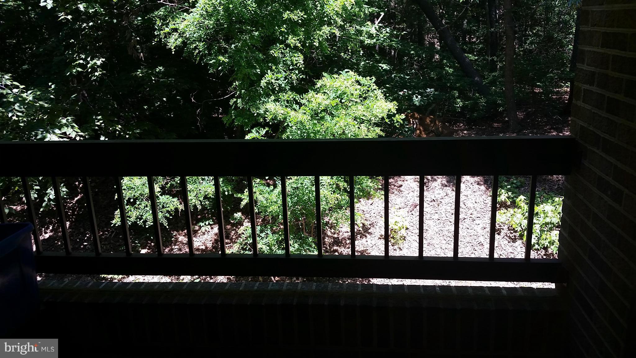 ORCHID PARK OF WILDEWOOD - Residential Lease