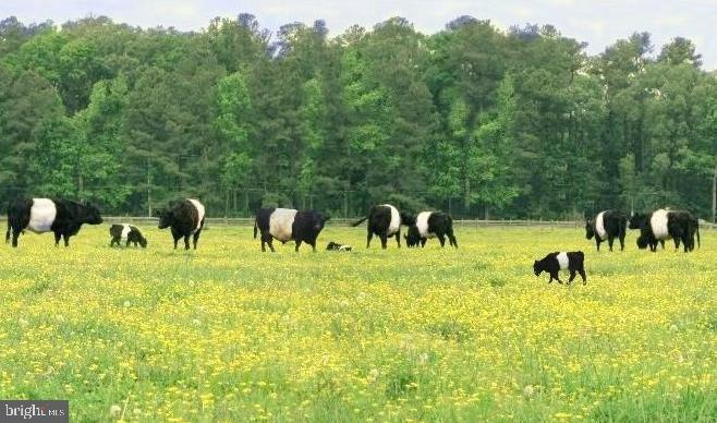 COOKE'S HOPE VILLAGE - Residential Lease