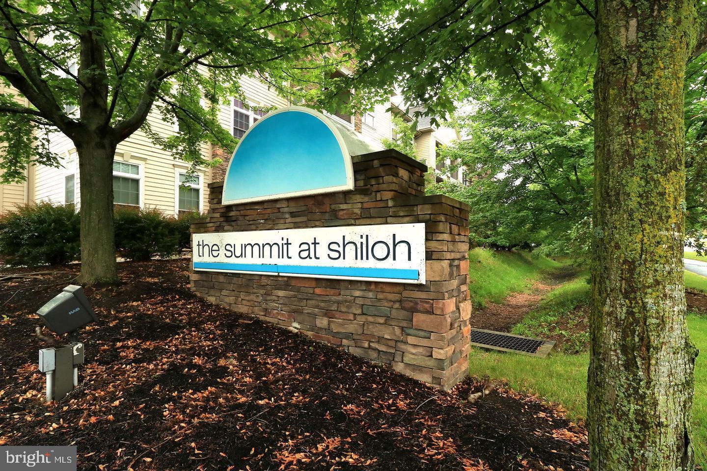 THE SUMMIT AT SHILOH - Residential