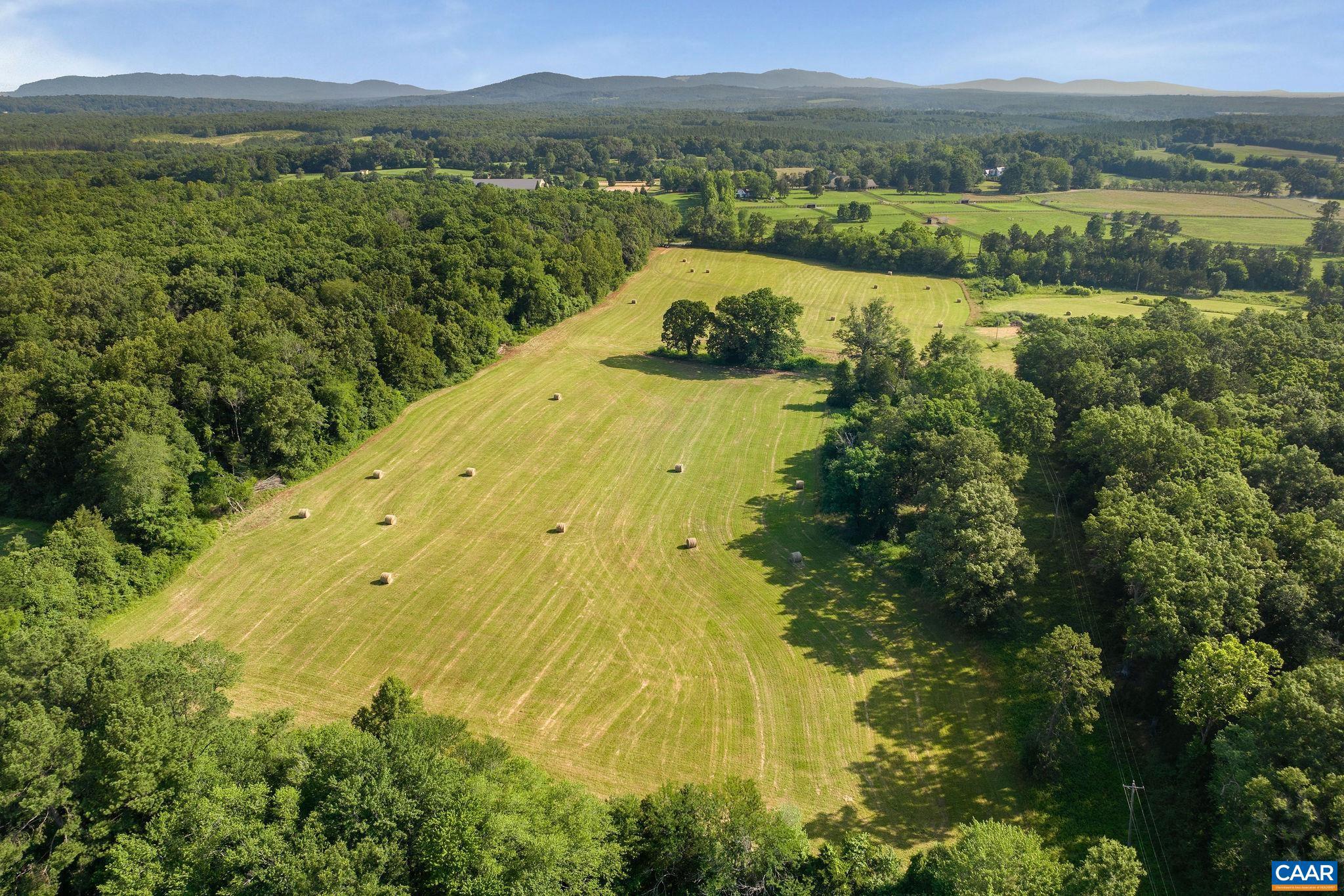 76.99 acres COLES ROLLING RD