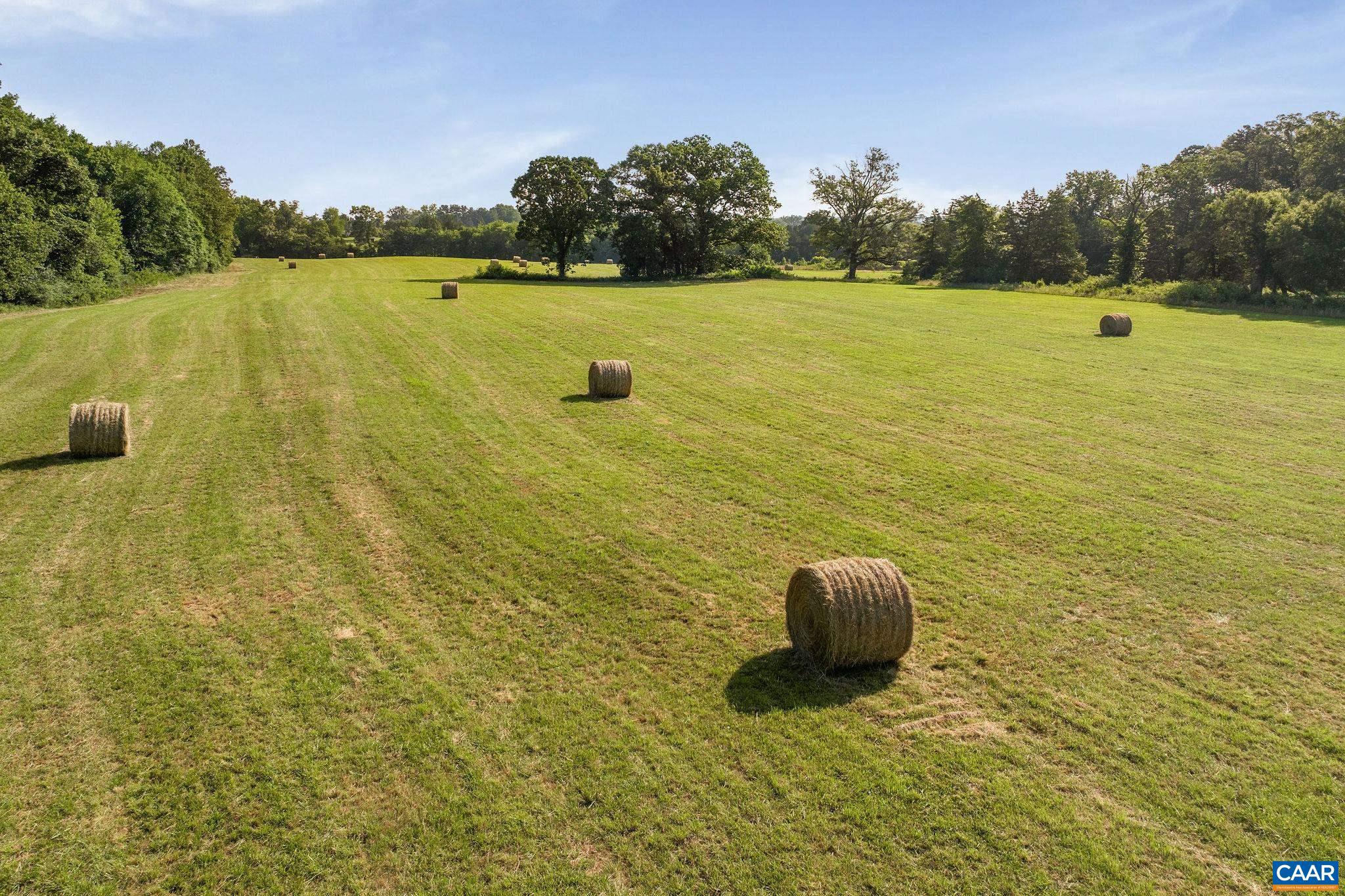 76.99 acres COLES ROLLING RD
