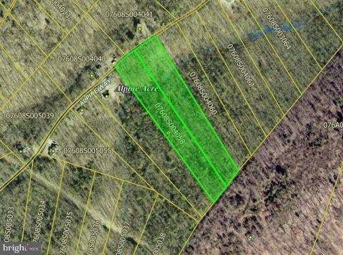 Lots 58 & 59 ALPINE WAY MOUNT JACKSON VA 22842