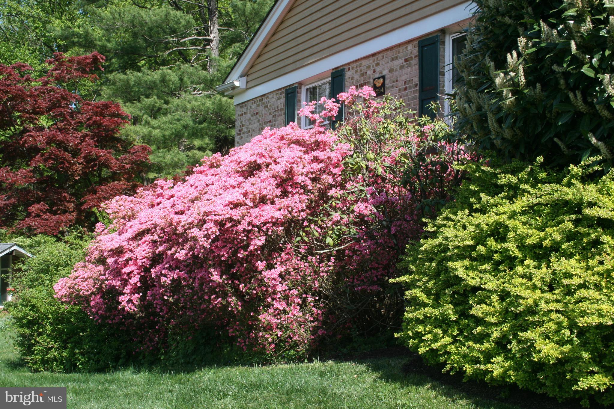 HAMPTON GARDENS - Residential