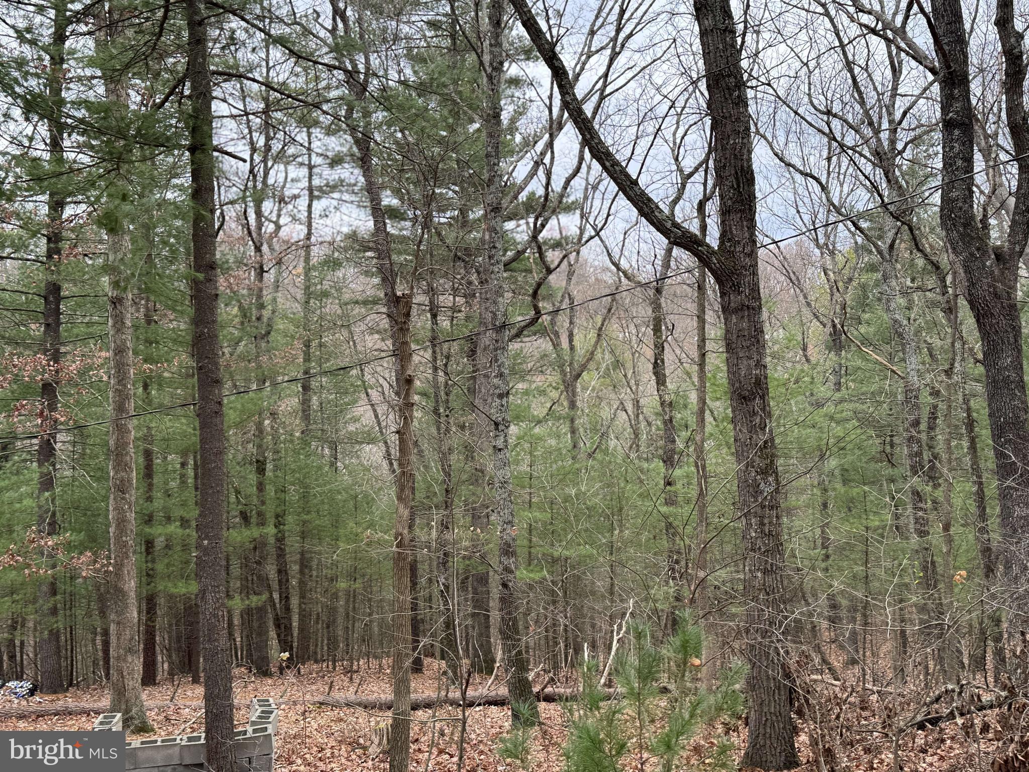 TIL BRANCH - Residential