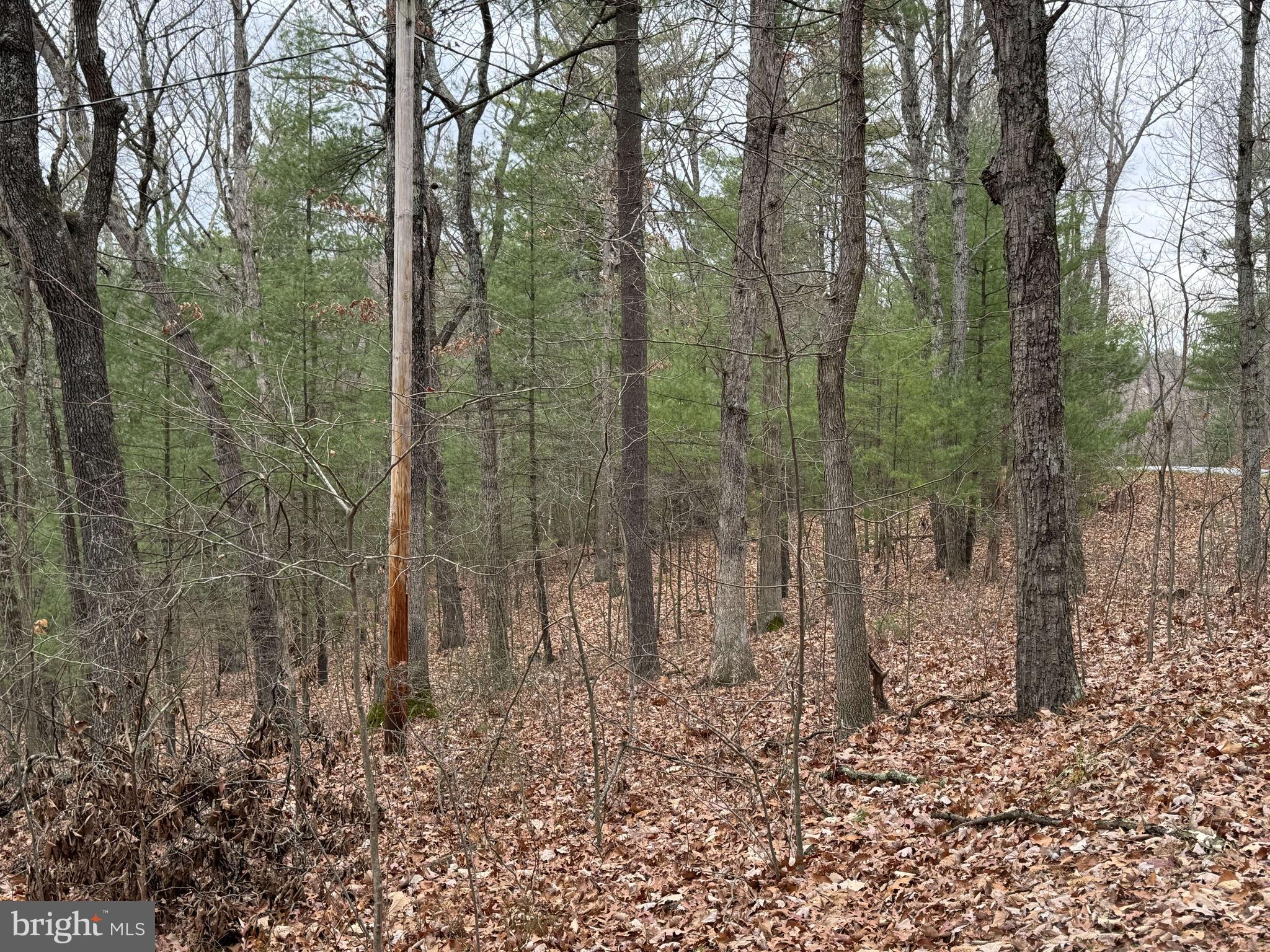 TIL BRANCH - Residential