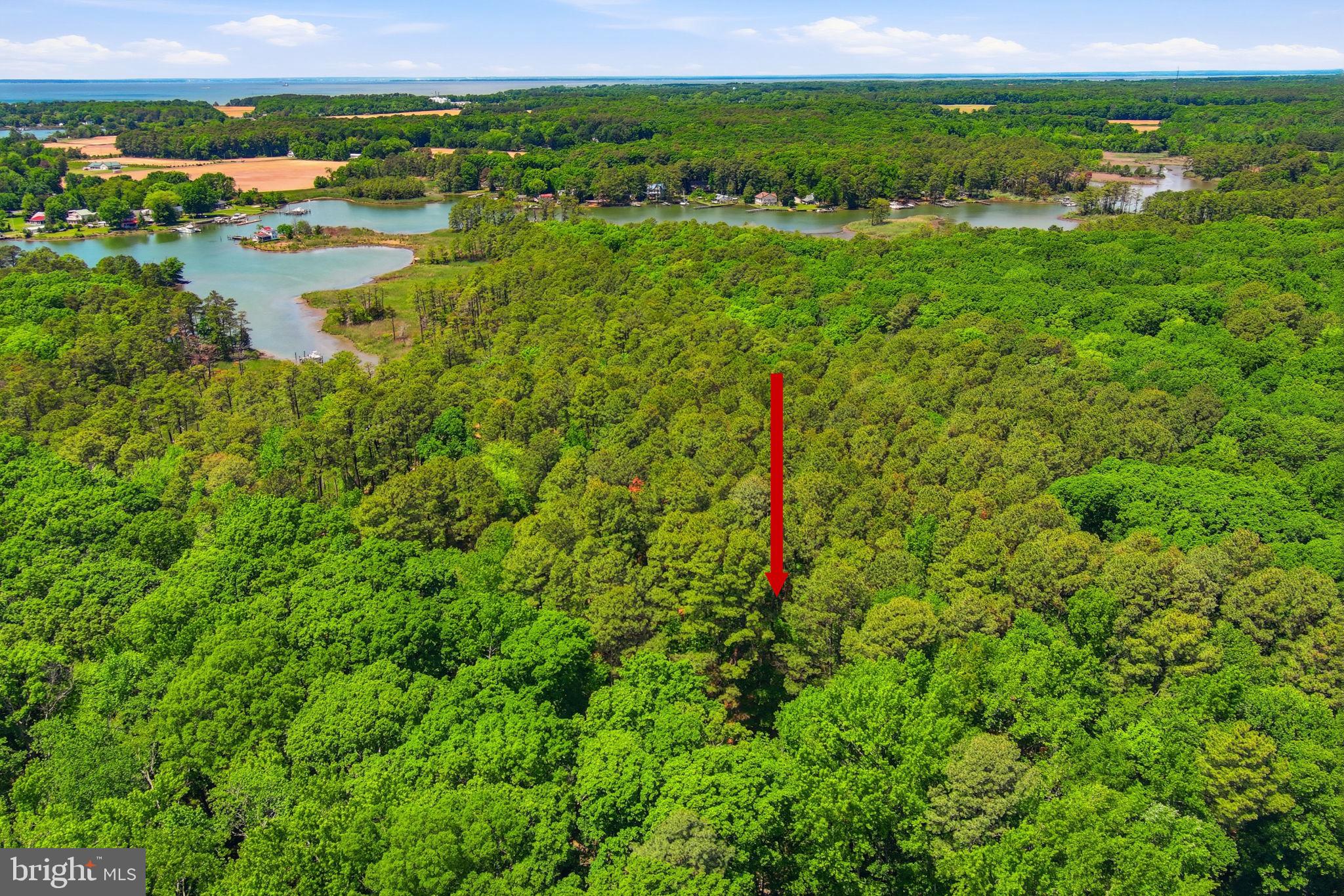 PINEY NECK - Residential