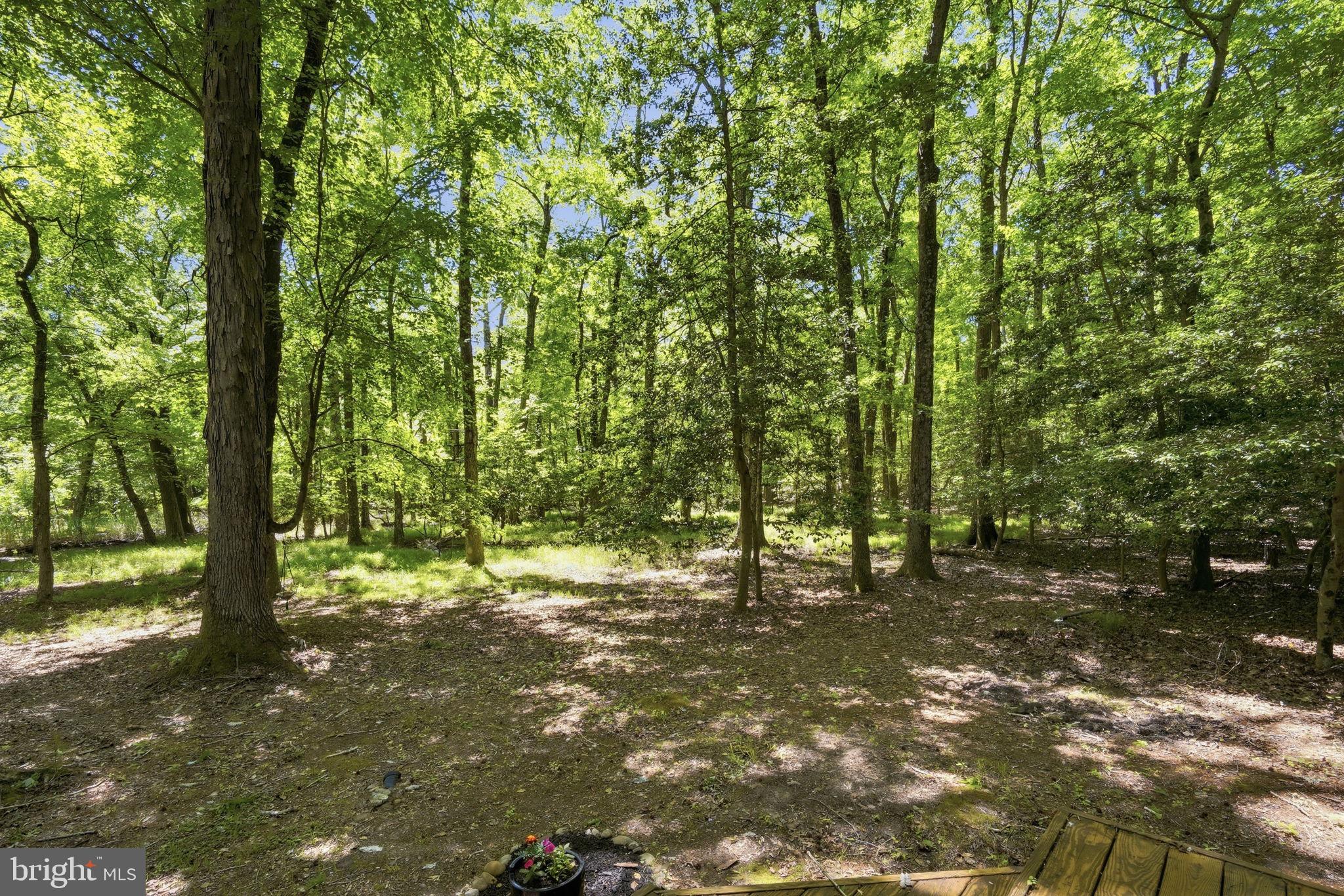 PINEY NECK - Residential