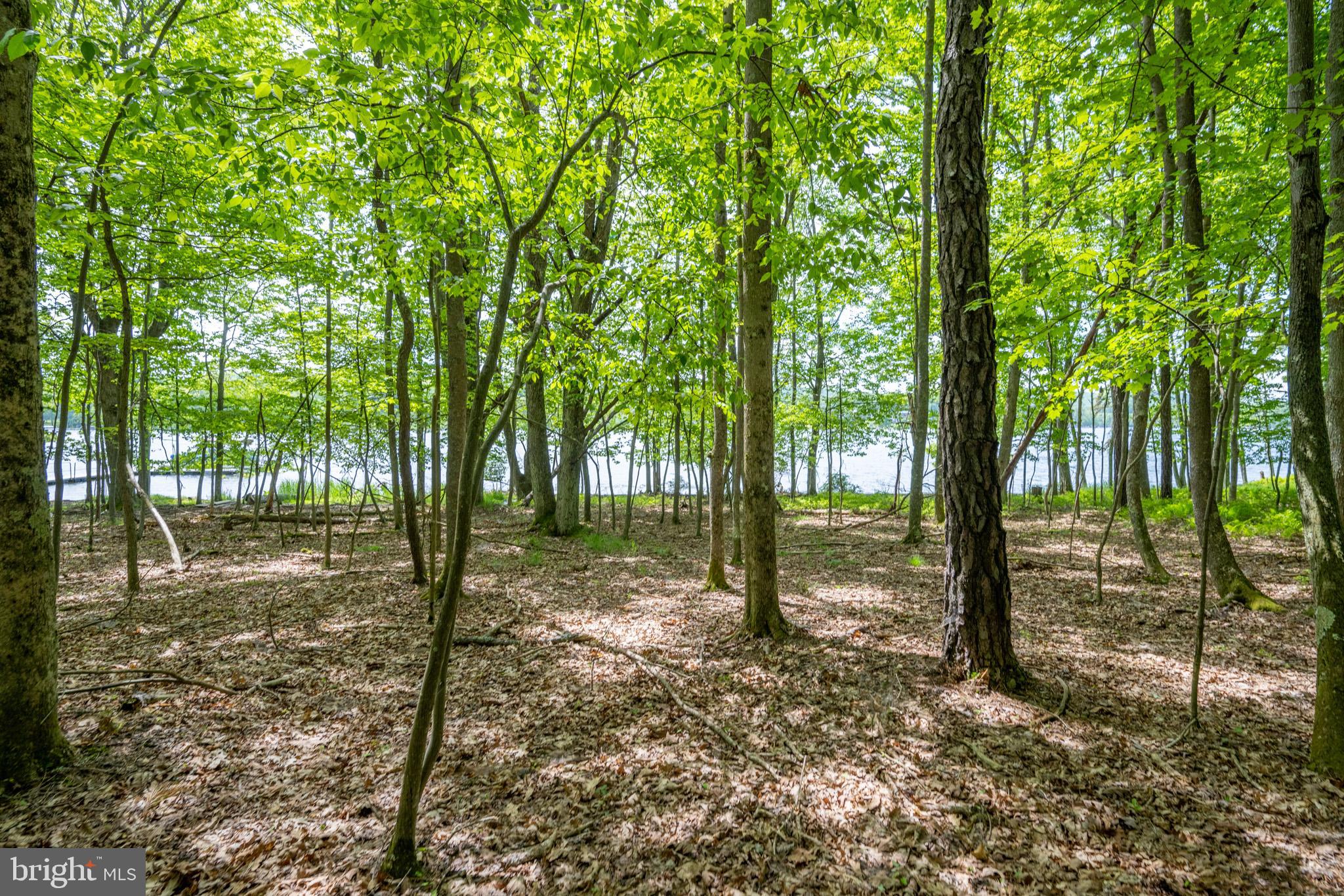 THOUSAND ACRES - Residential