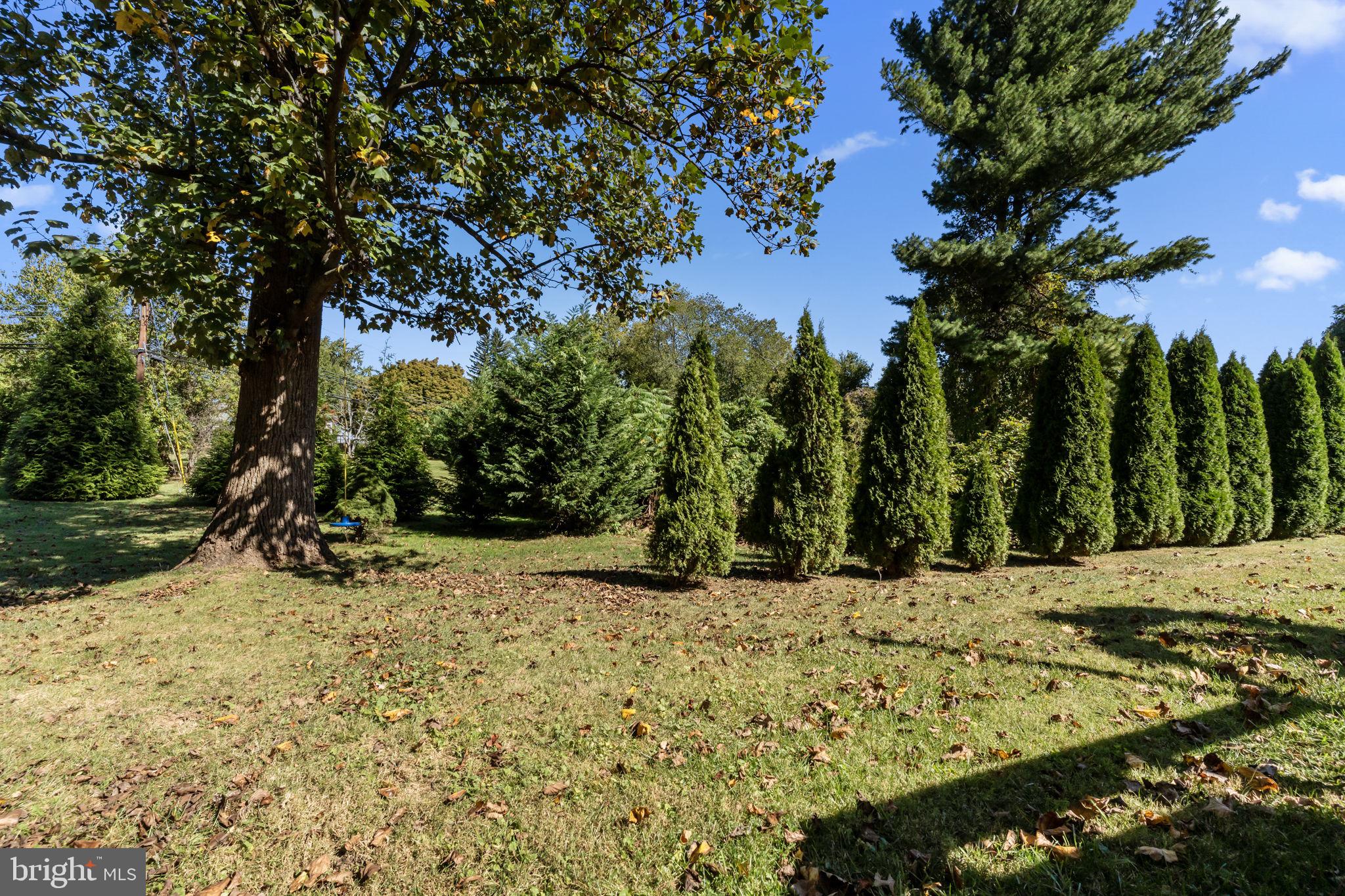 ALBIDALE II - Residential