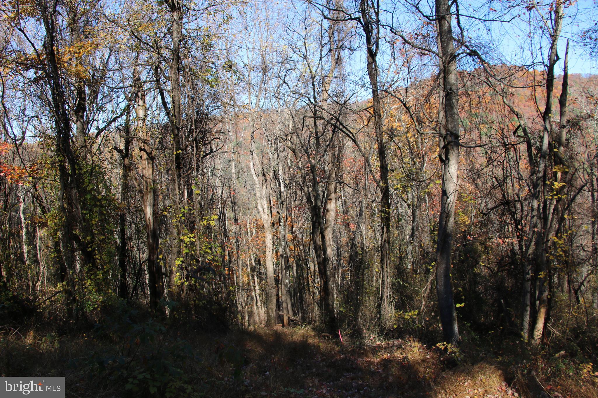 OVERLOOK MOUNTAIN - Land