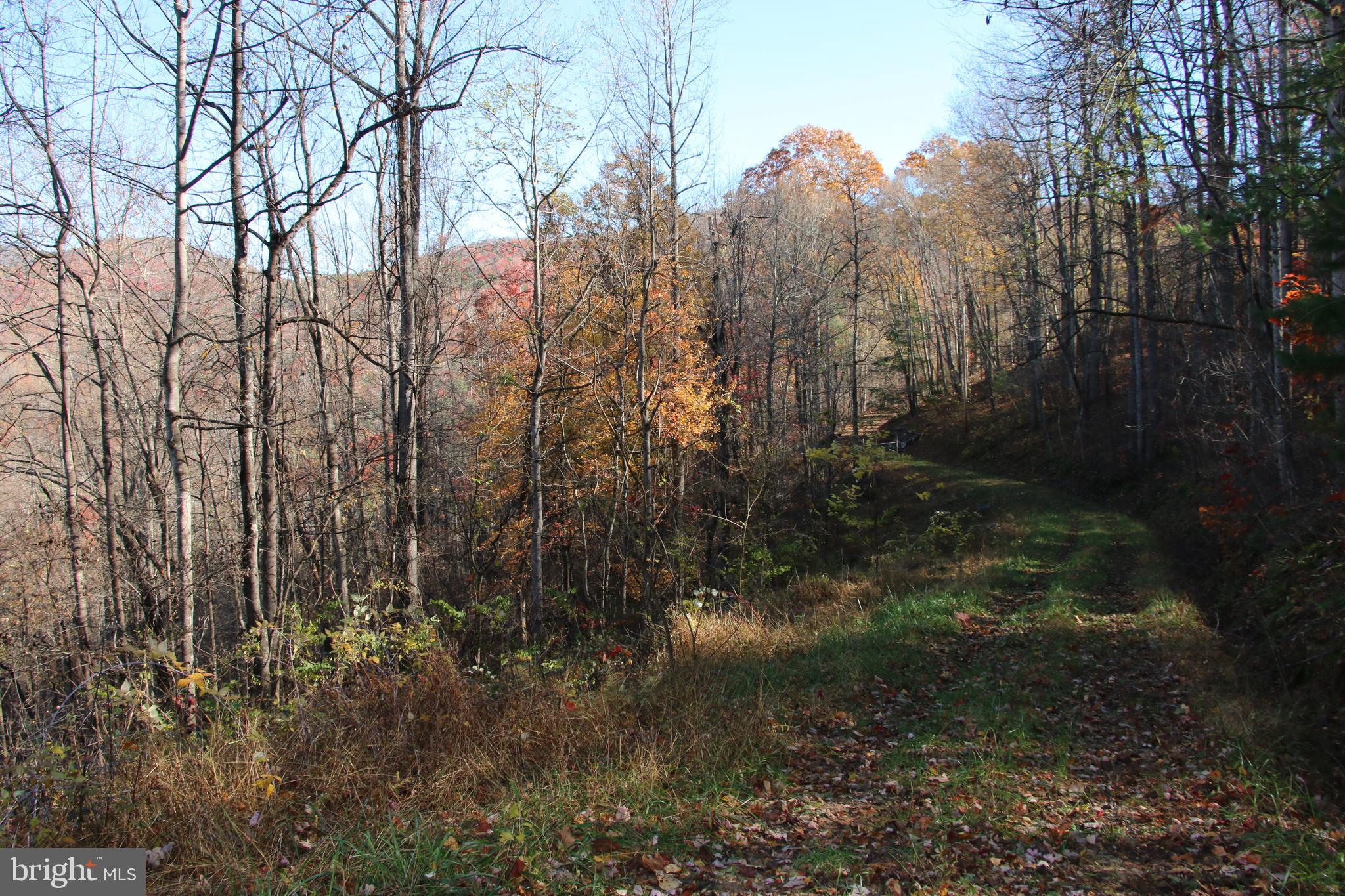 OVERLOOK MOUNTAIN - Land