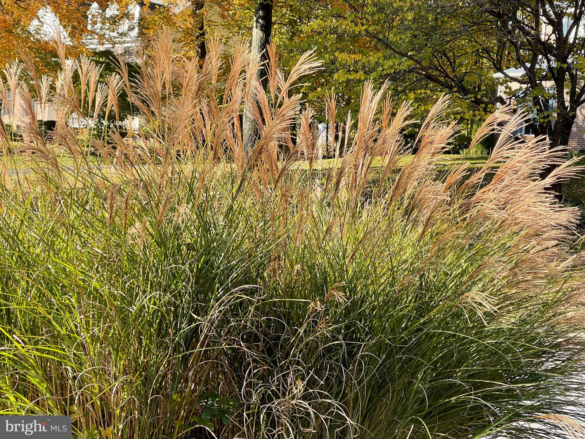 WOODCREST - Residential