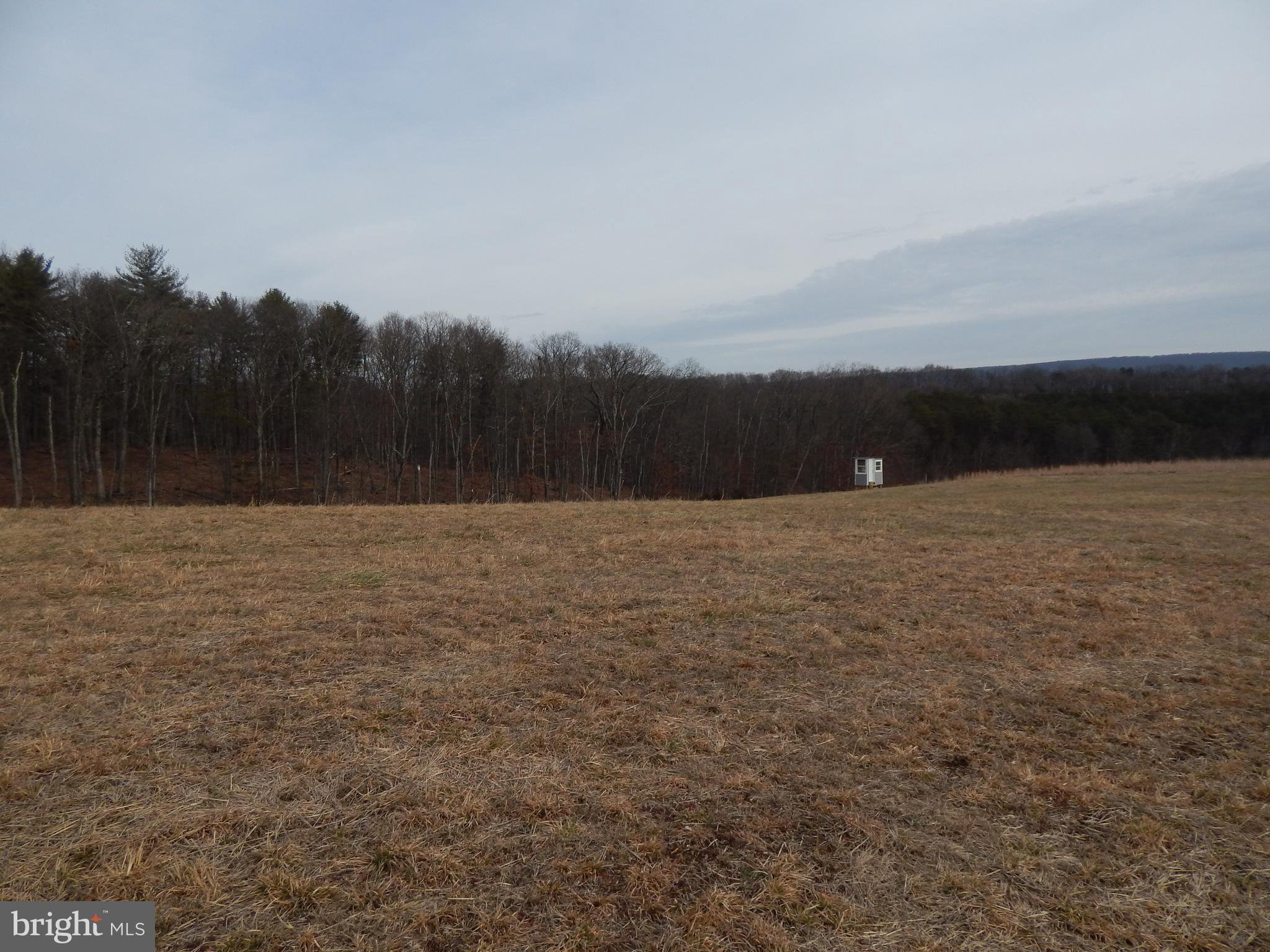 NONE AVAILABLE - Land