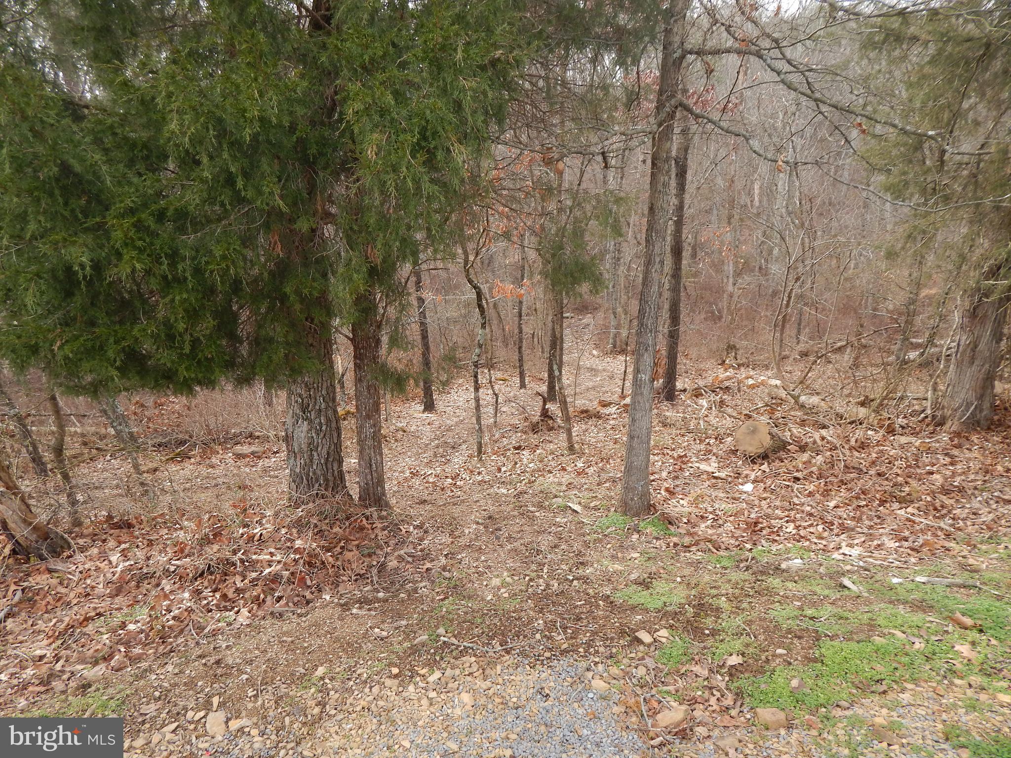 NONE AVAILABLE - Land