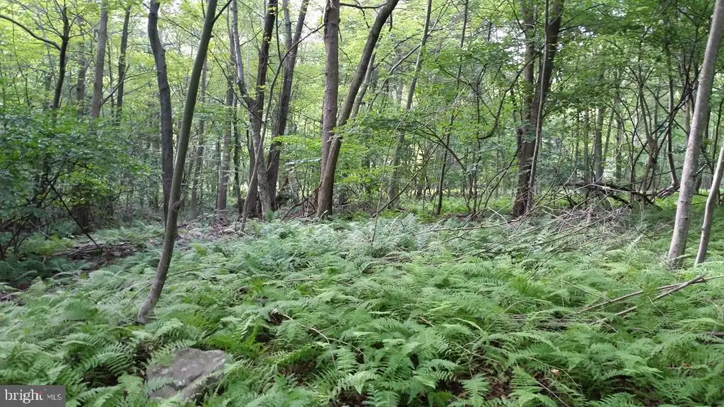 Jacks Mountain Road, Belleville, PA 17004